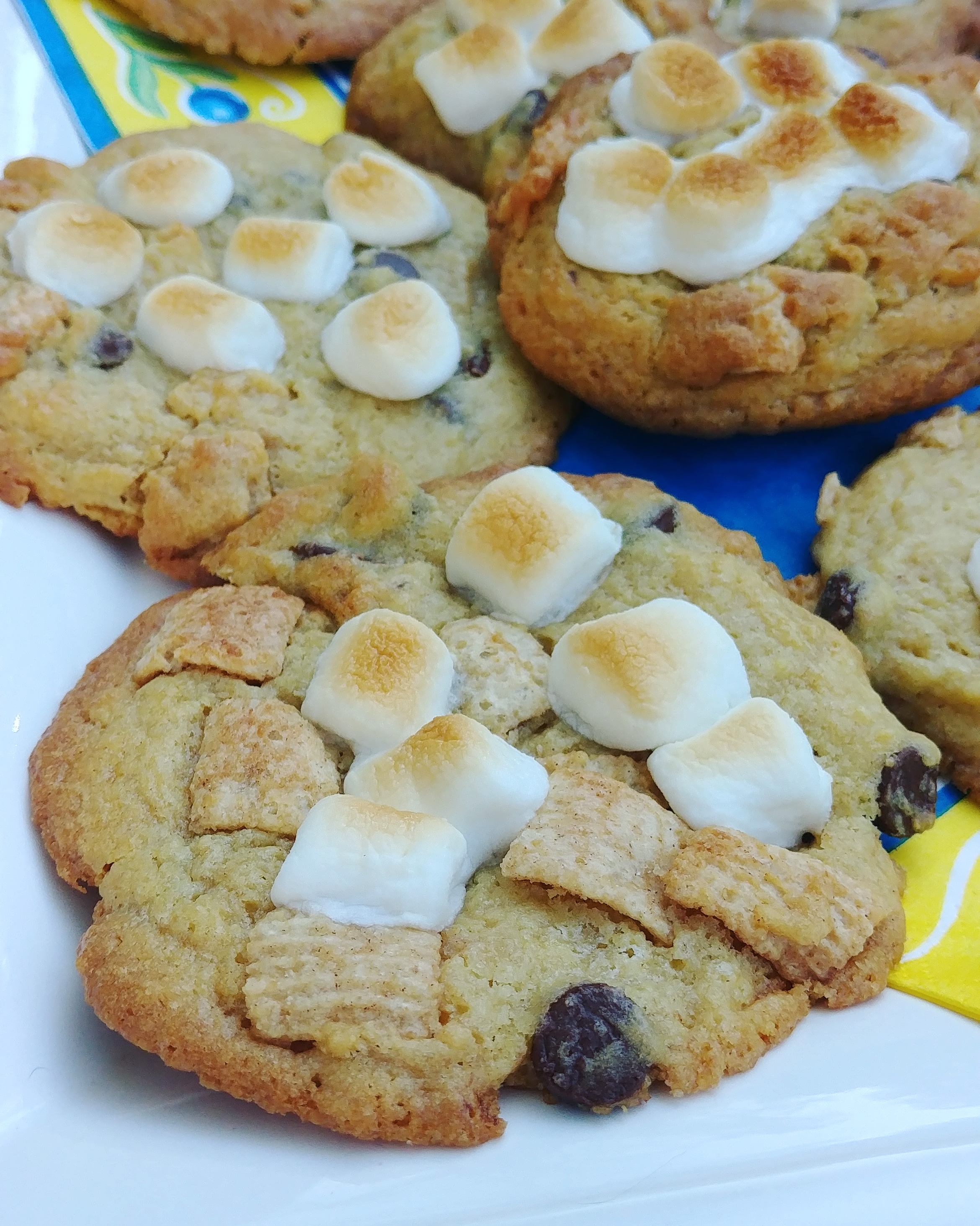 S'mores Cookie Chef Mo