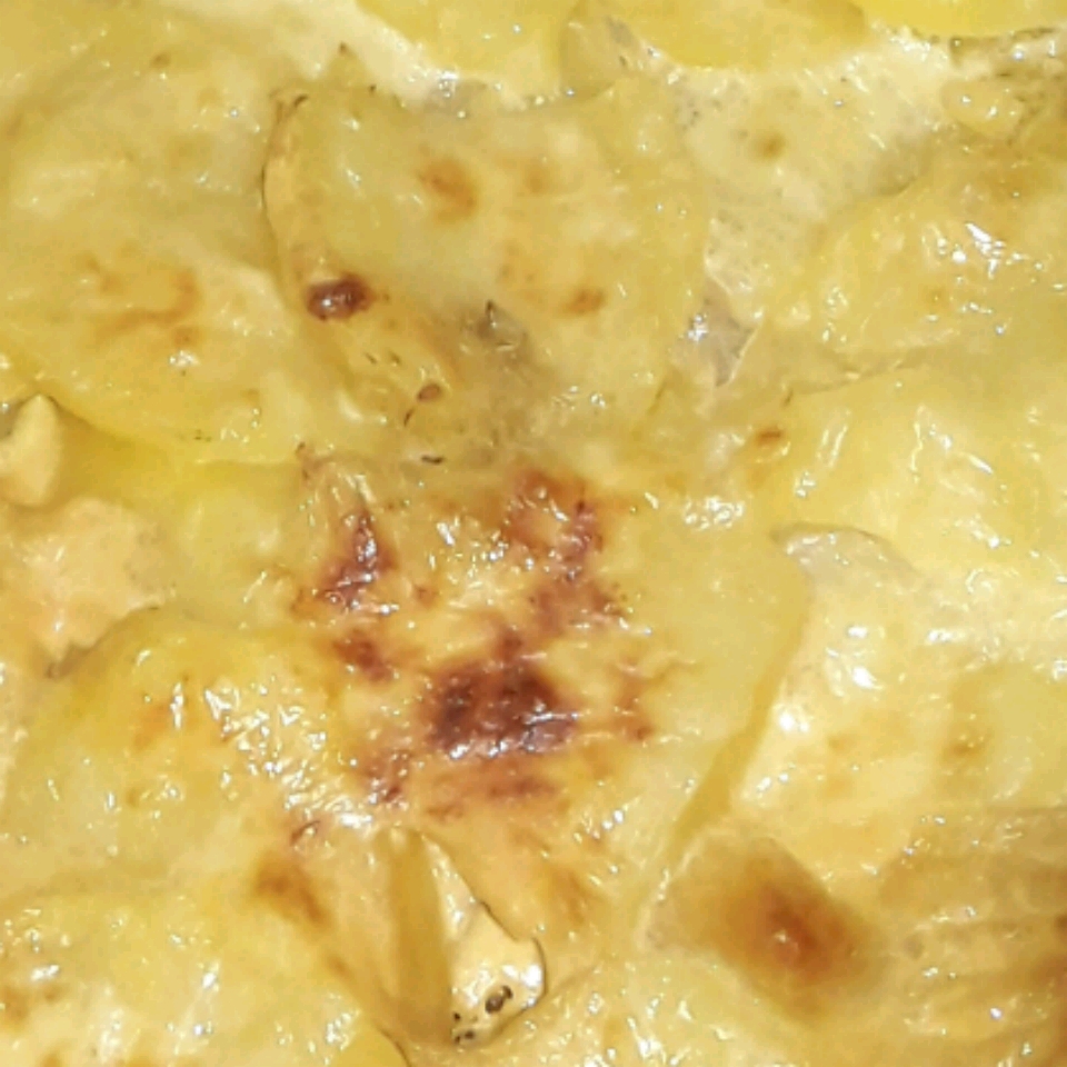 Creamy Potato Casserole 