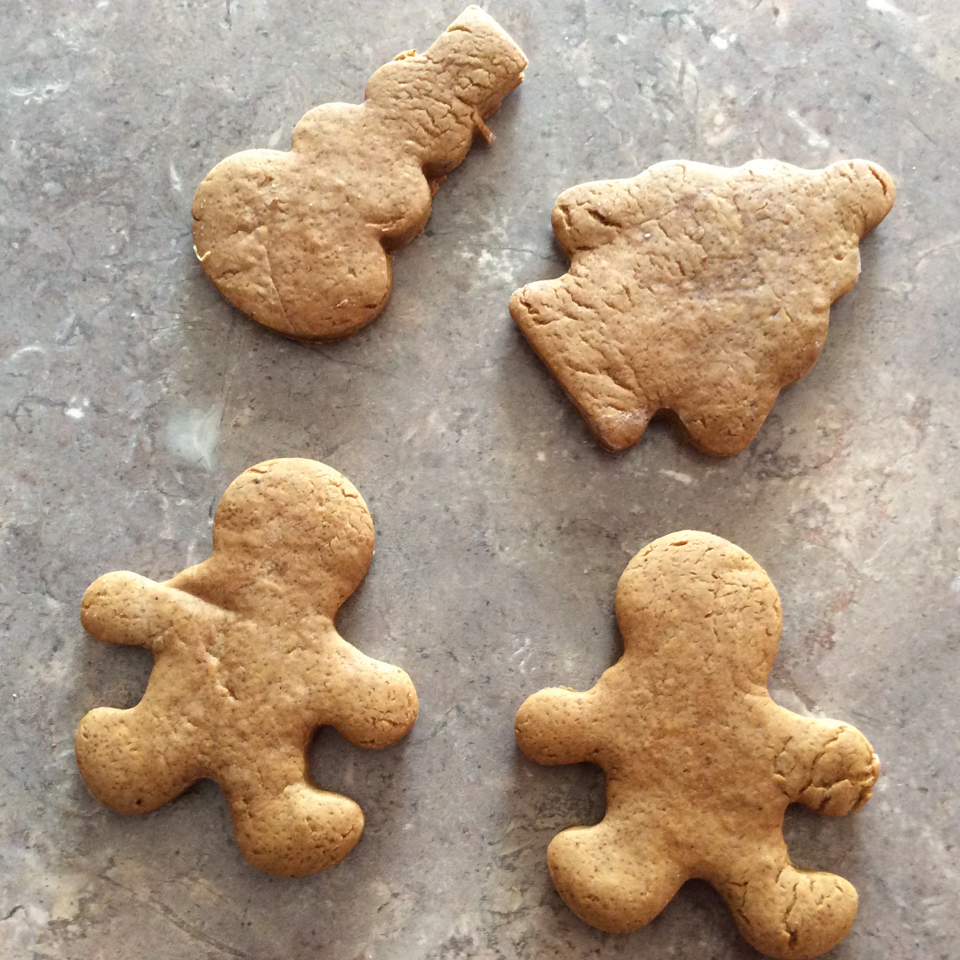 Kim's Gingerbread Cookies Monty
