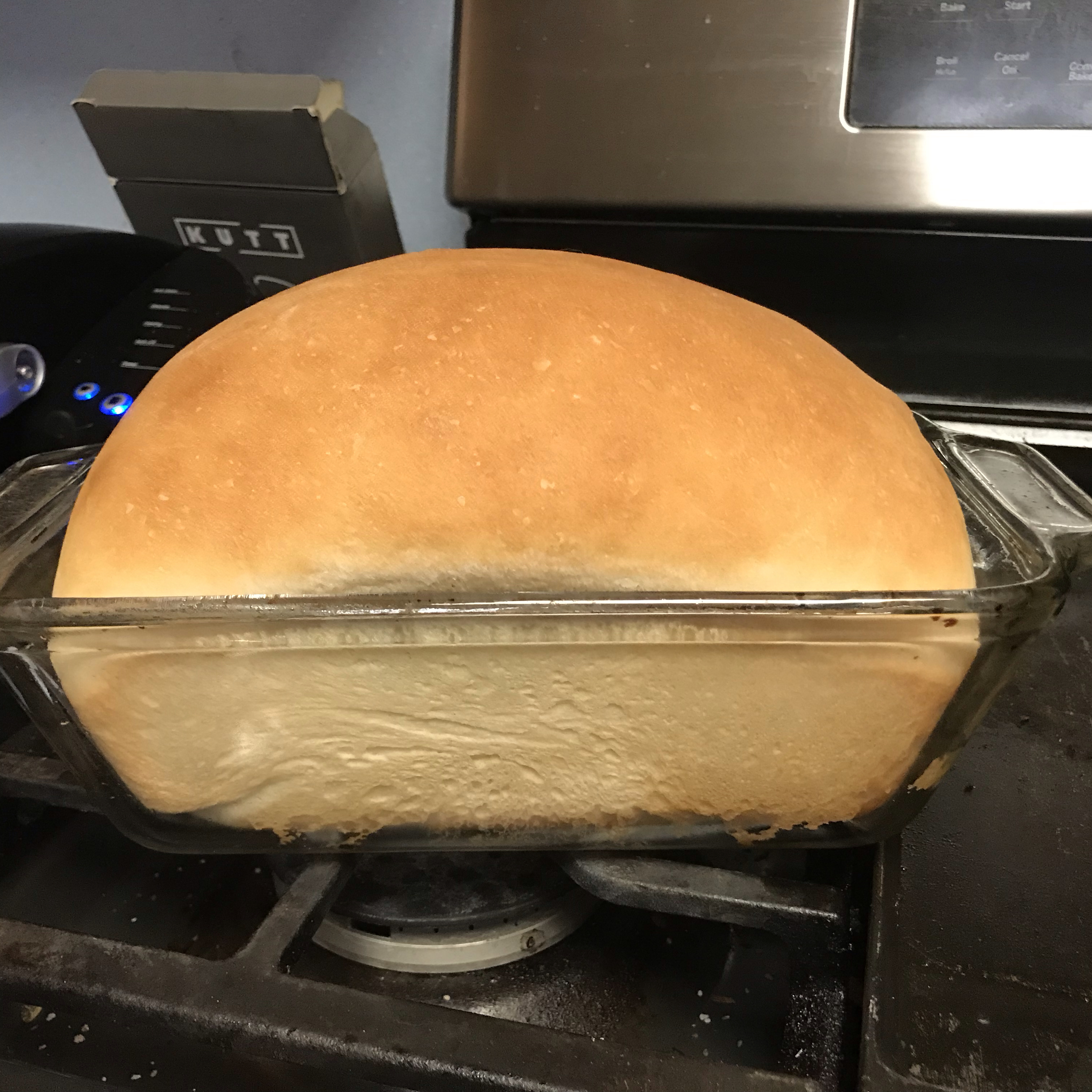 Amish White Bread 