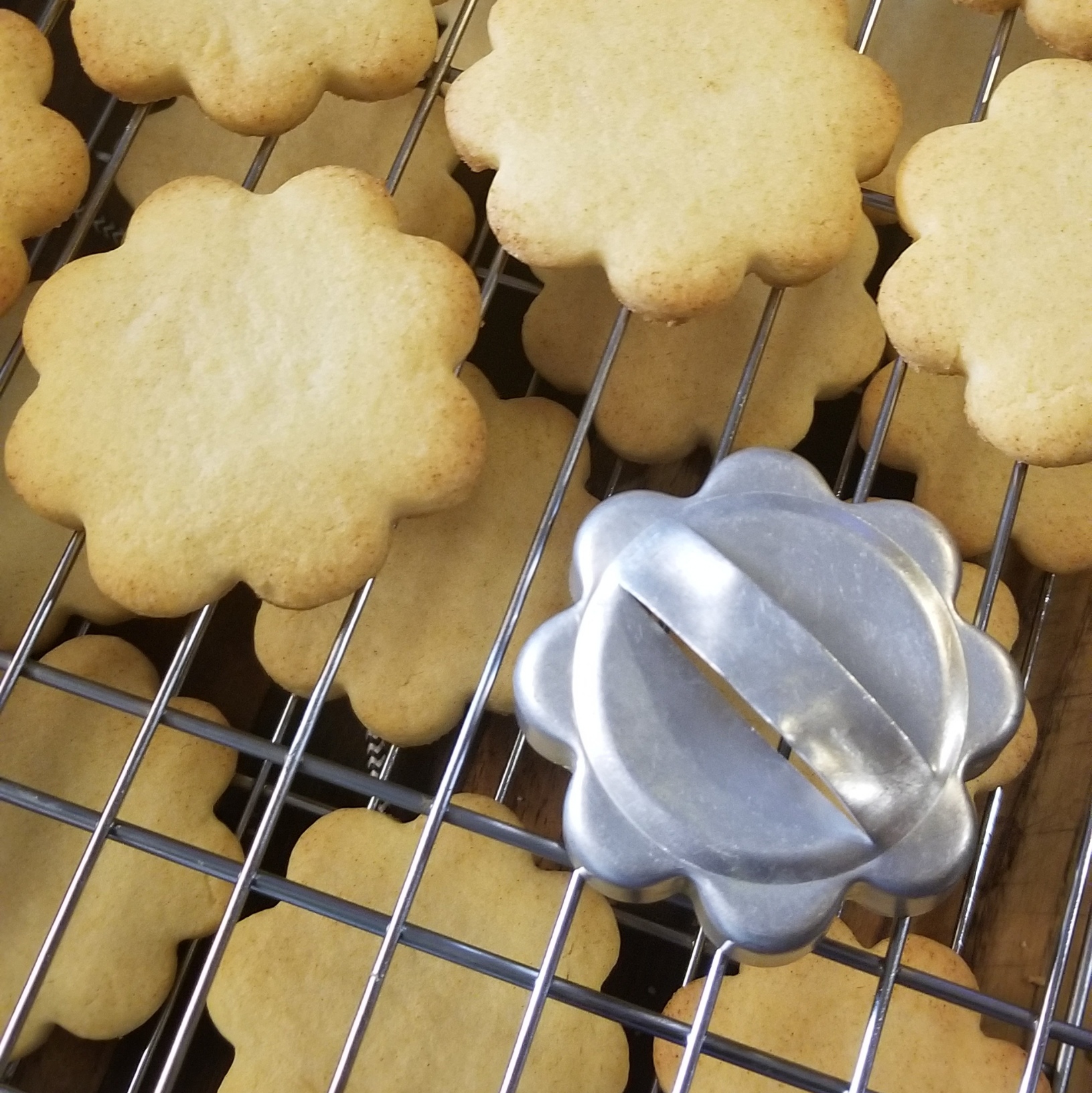 The Best Rolled Sugar Cookies 