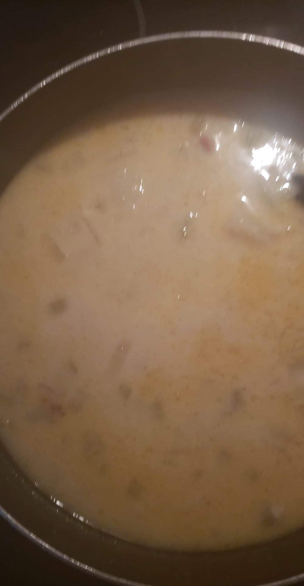 Delicious Ham and Potato Soup 