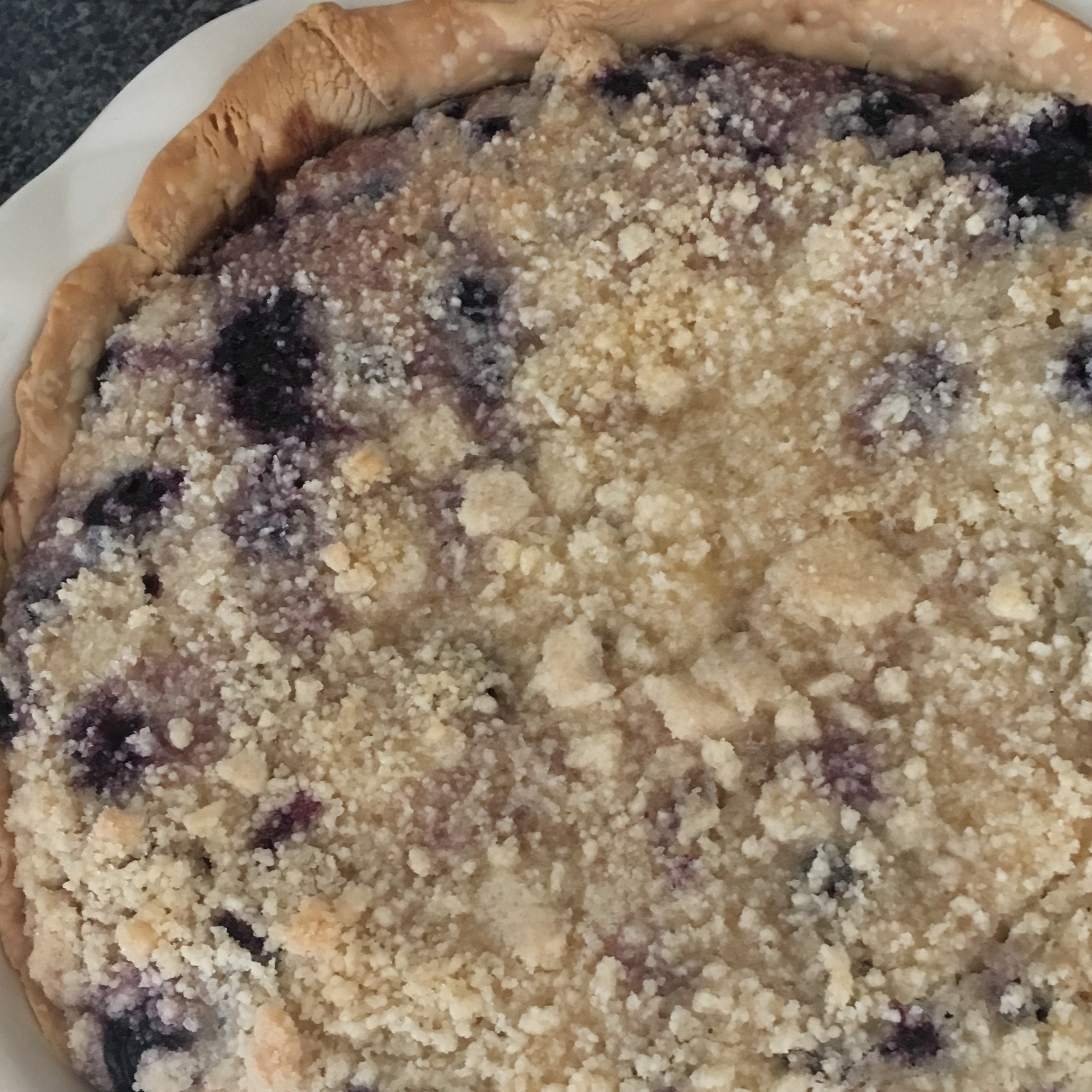 Creamy Blueberry Pie 