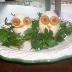 Cute Egg Chicks 