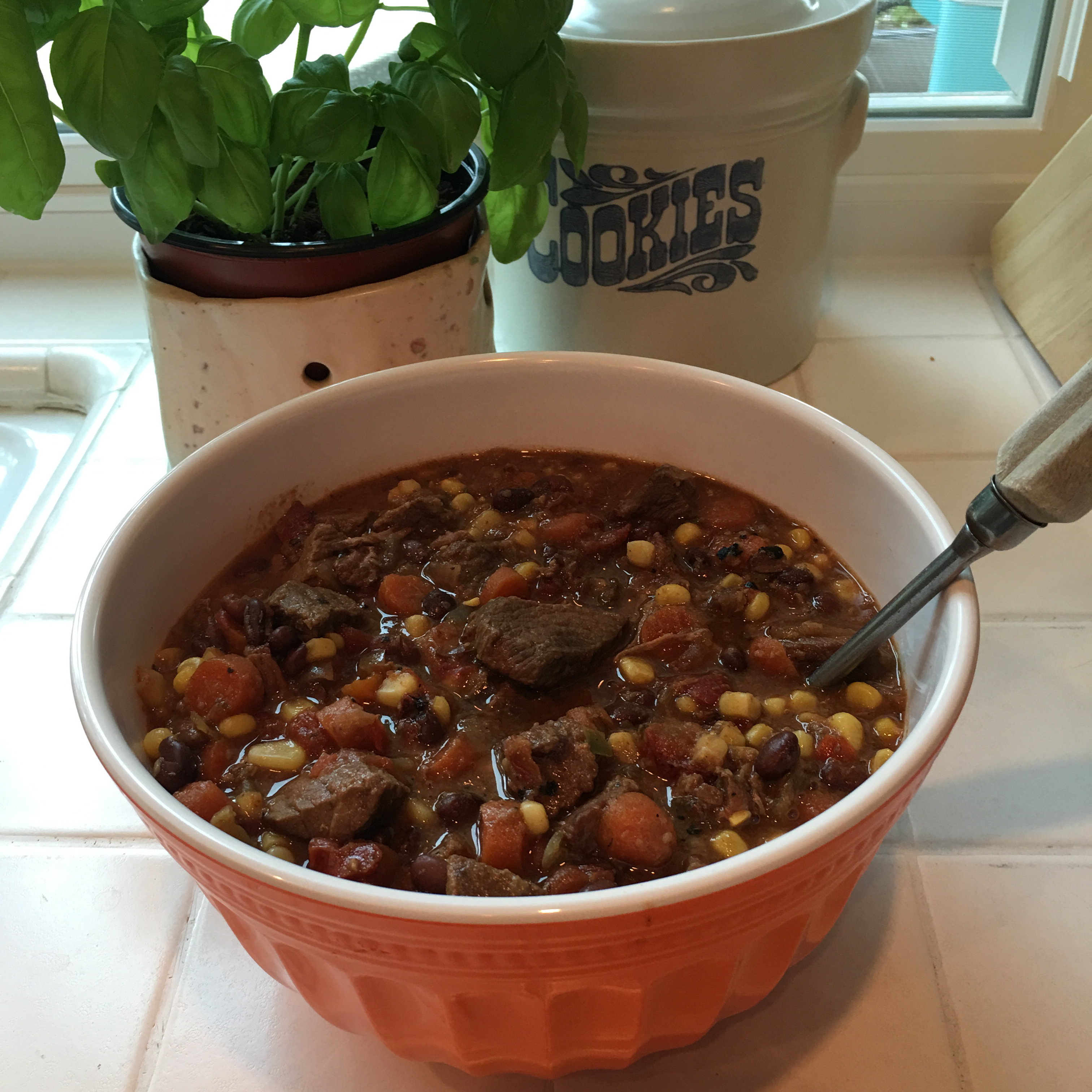 Slow Cooker Mexican Beef Stew 