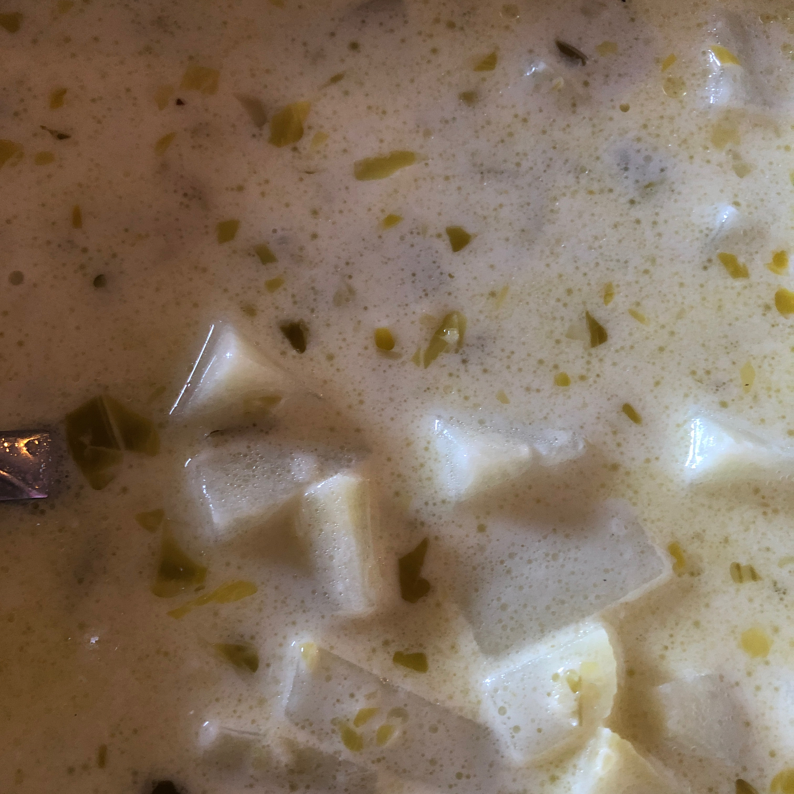 Potato Leek Soup III 