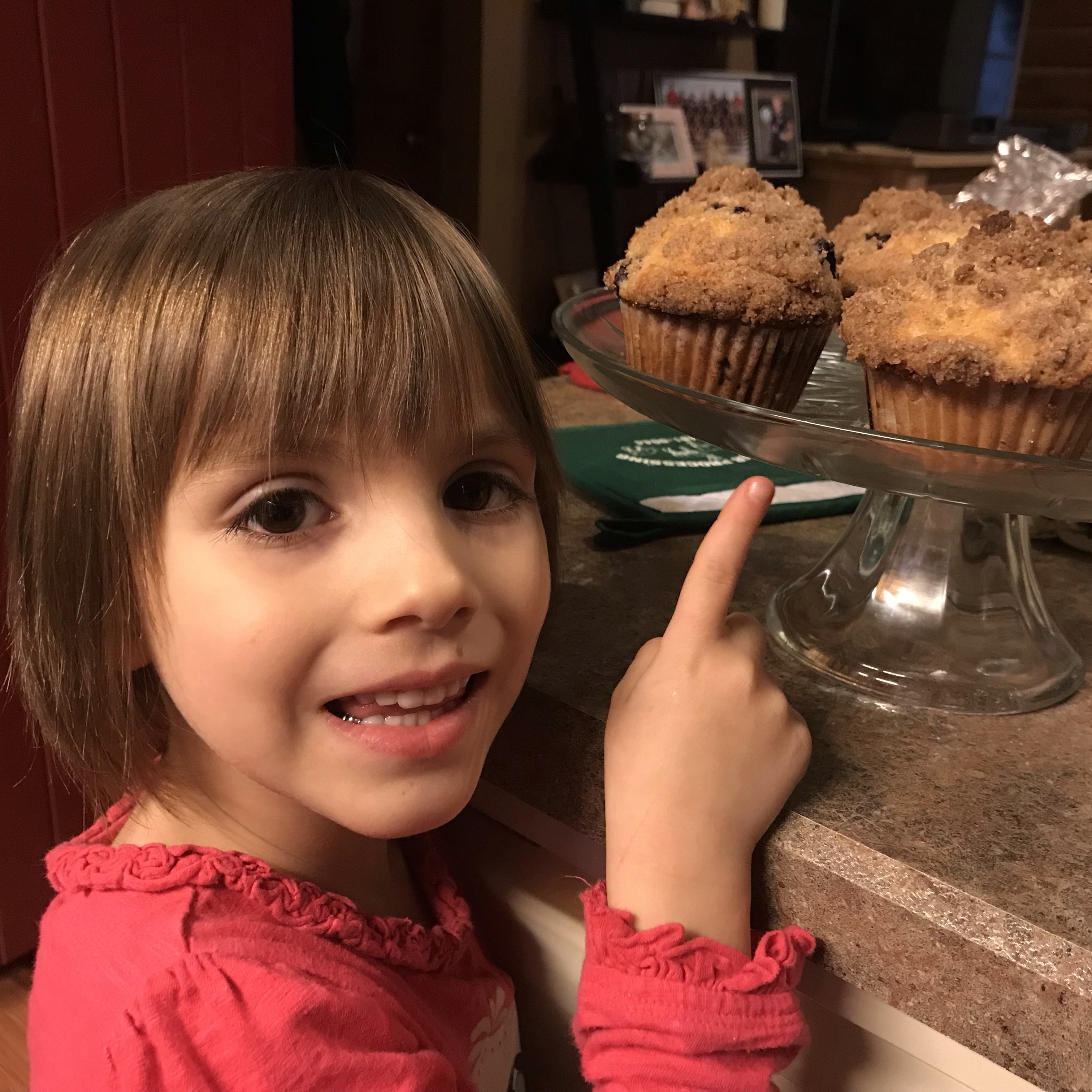 To Die For Blueberry Muffins Clara