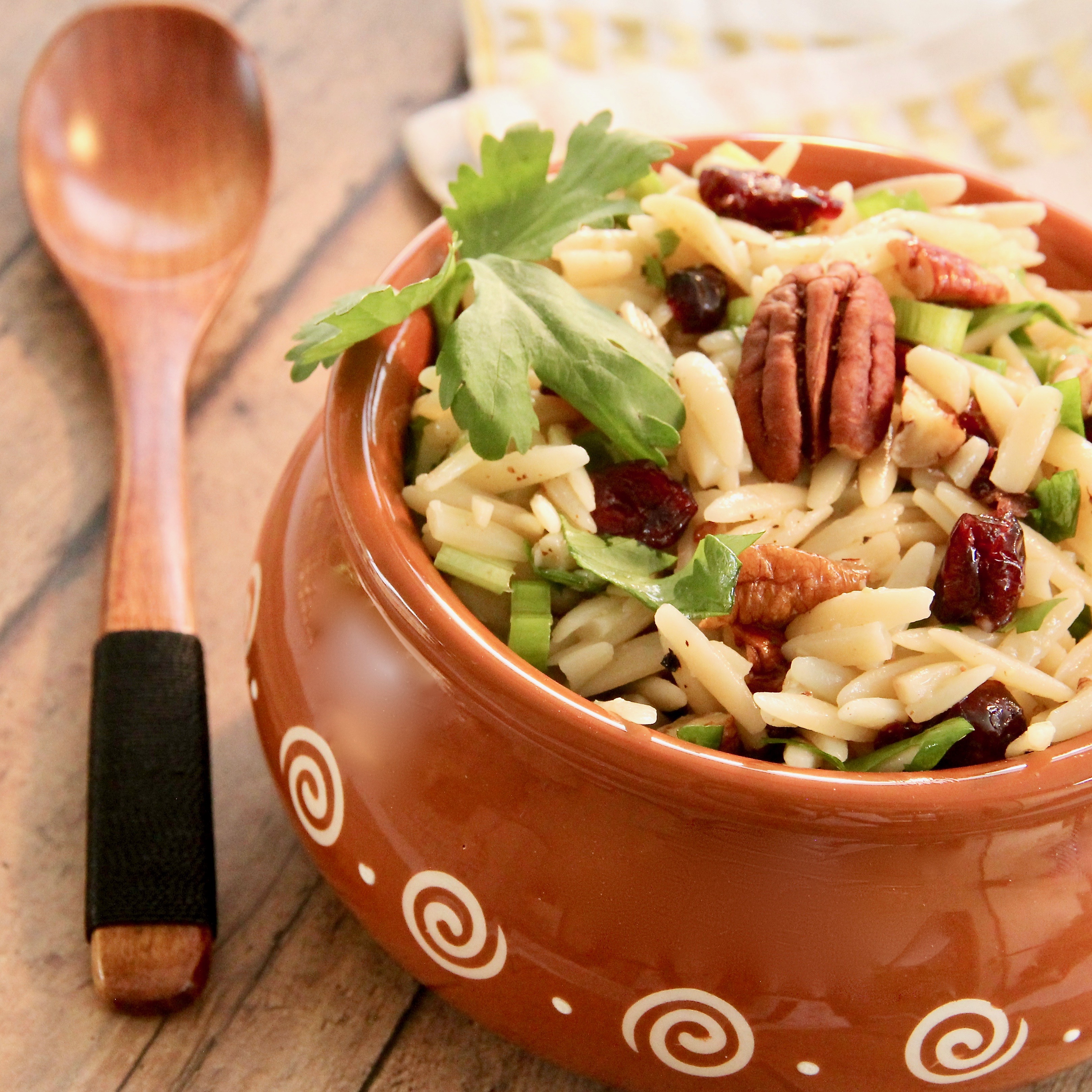 Orzo Pasta Salad with Dried Cranberries 