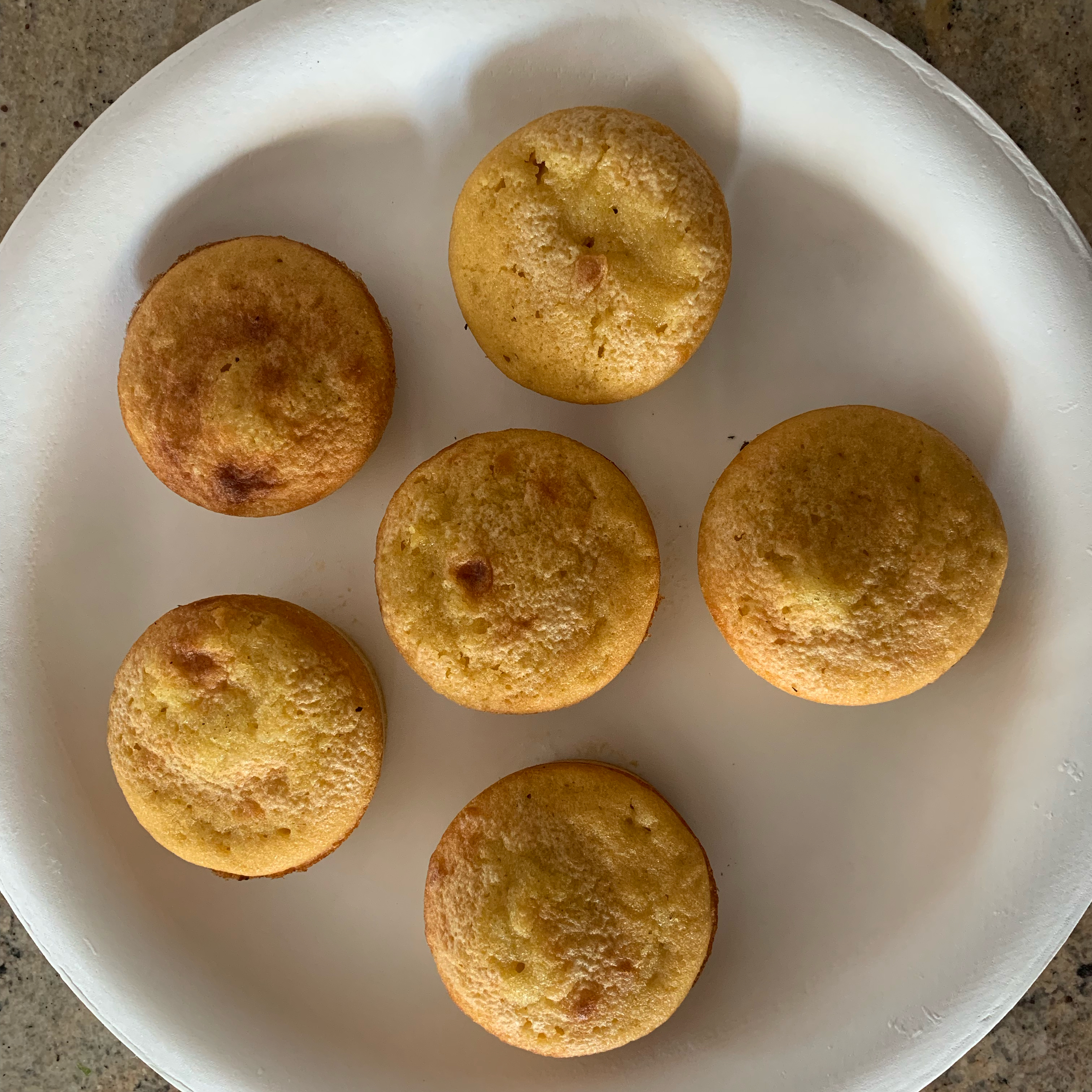 Paleo Coconut Muffins 