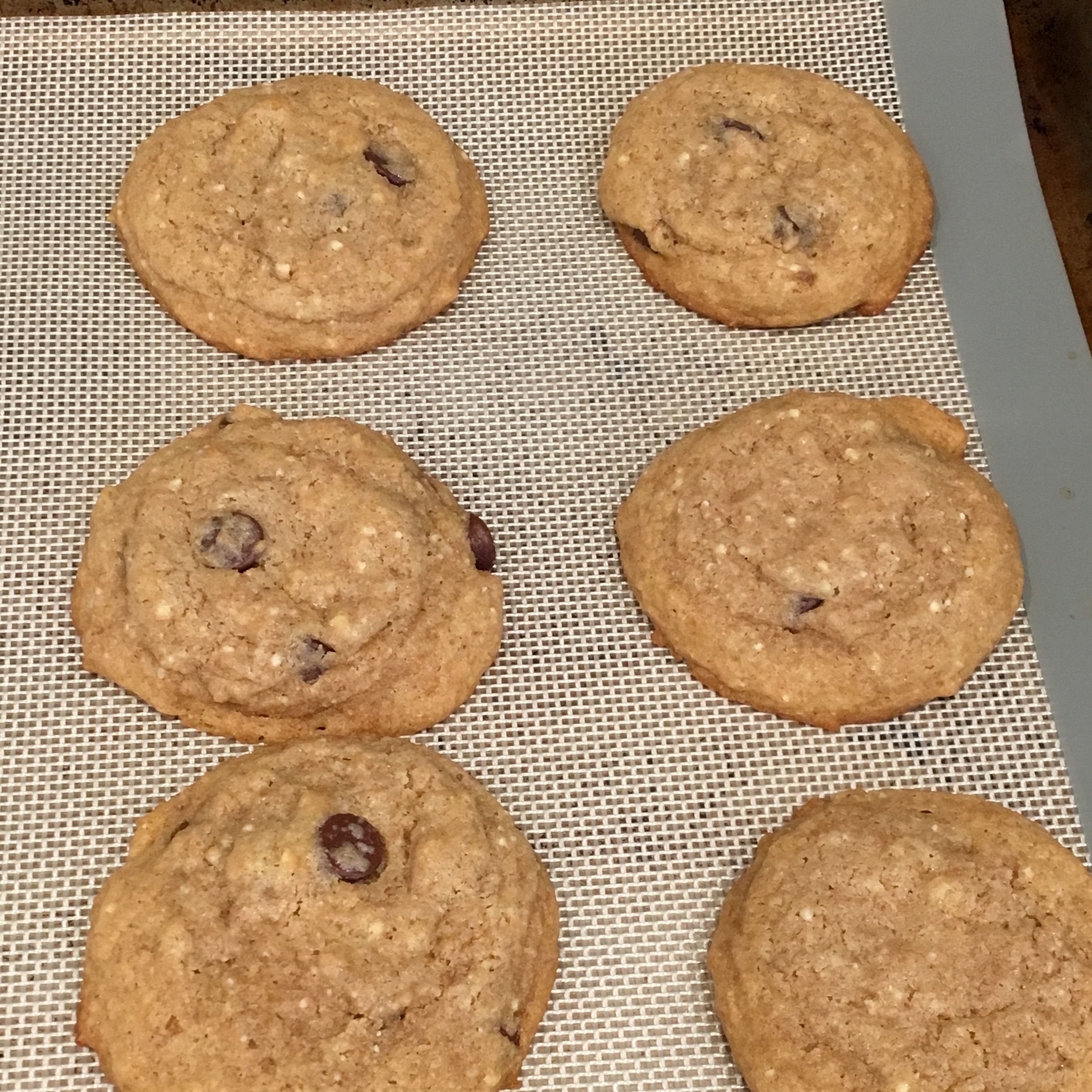 Whole White Wheat and Honey Chocolate Chip Cookies Carissa Flory