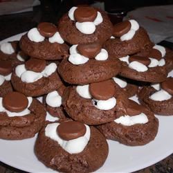 Chocolate-Covered Marshmallow Cookies 