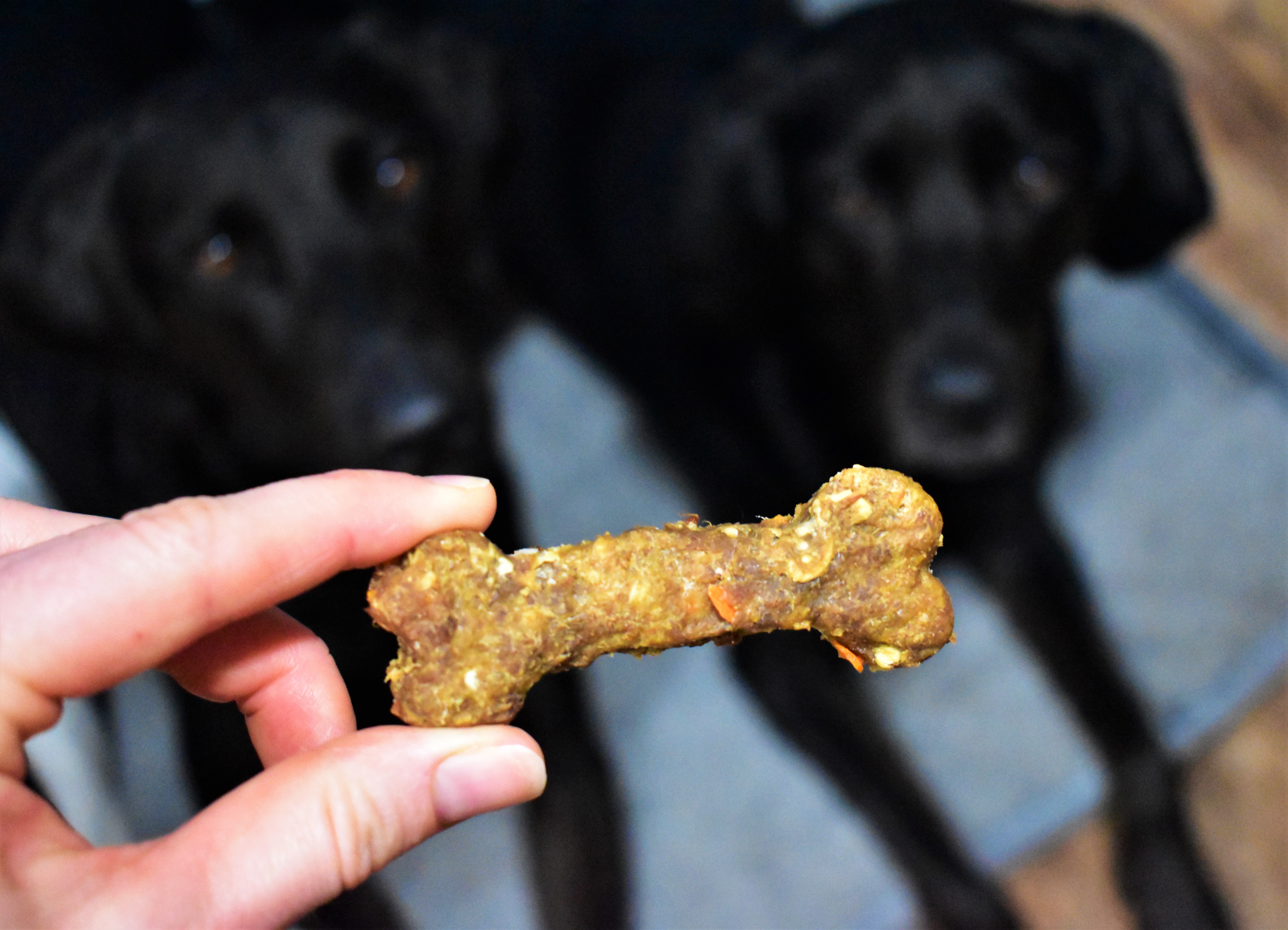 Quick and Easy Homemade Dog Treat 