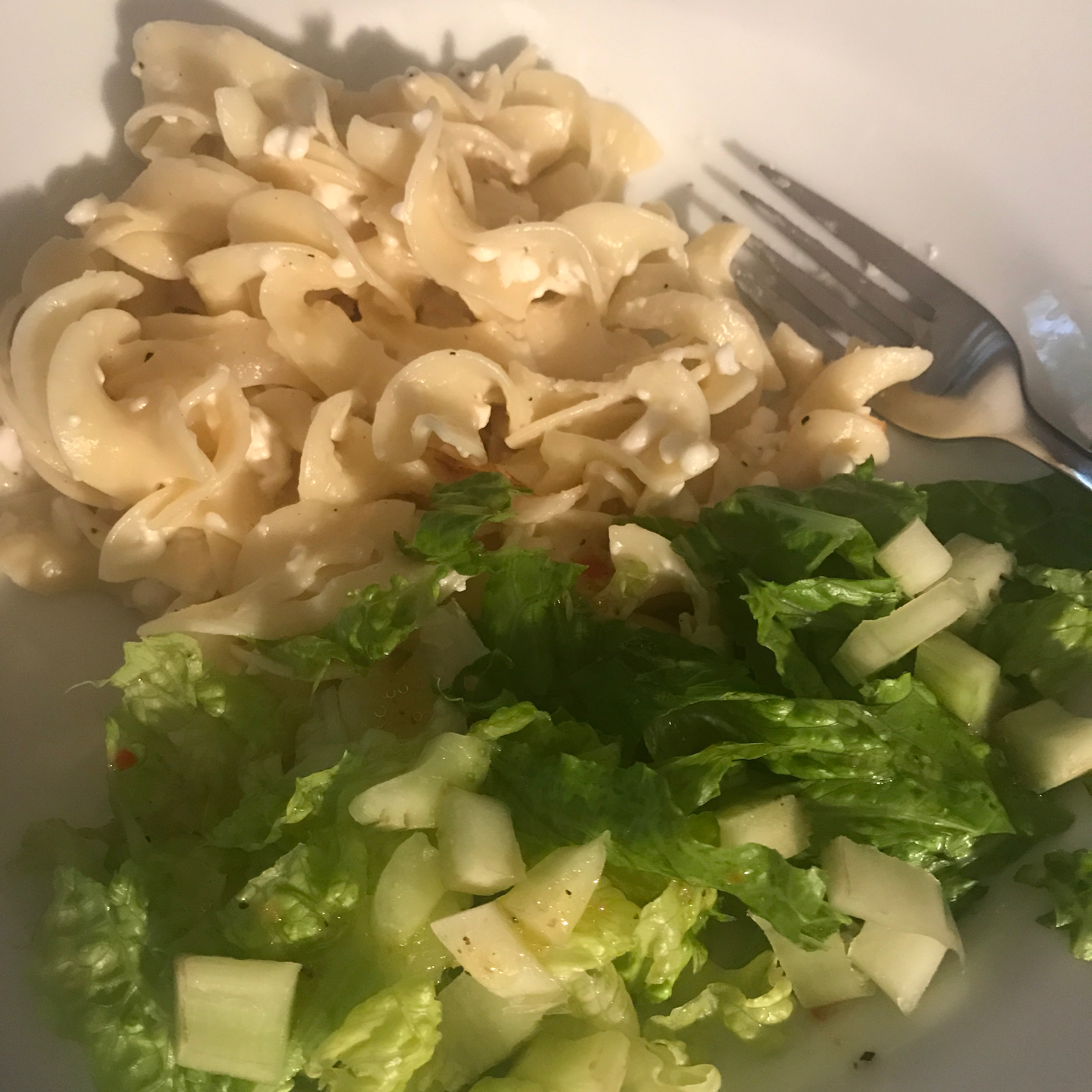 Polish Noodles (Cottage Cheese and Noodles) 