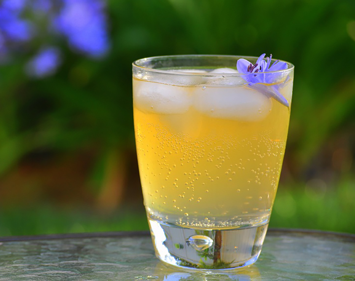 <p>Orange juice, lemon juice, and tonic water combine to make a light and tasty brunch drink. You can add a little bubbly instead of tonic water for those who want a cocktail, otherwise this is perfect for those who want to keep their wits about them.</p>
                          