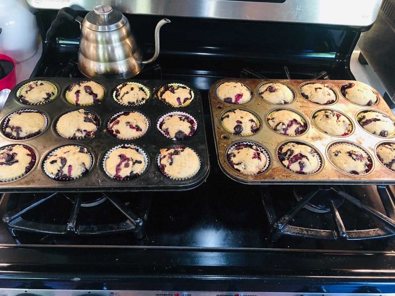 Vegan Blueberry Muffins with Applesauce