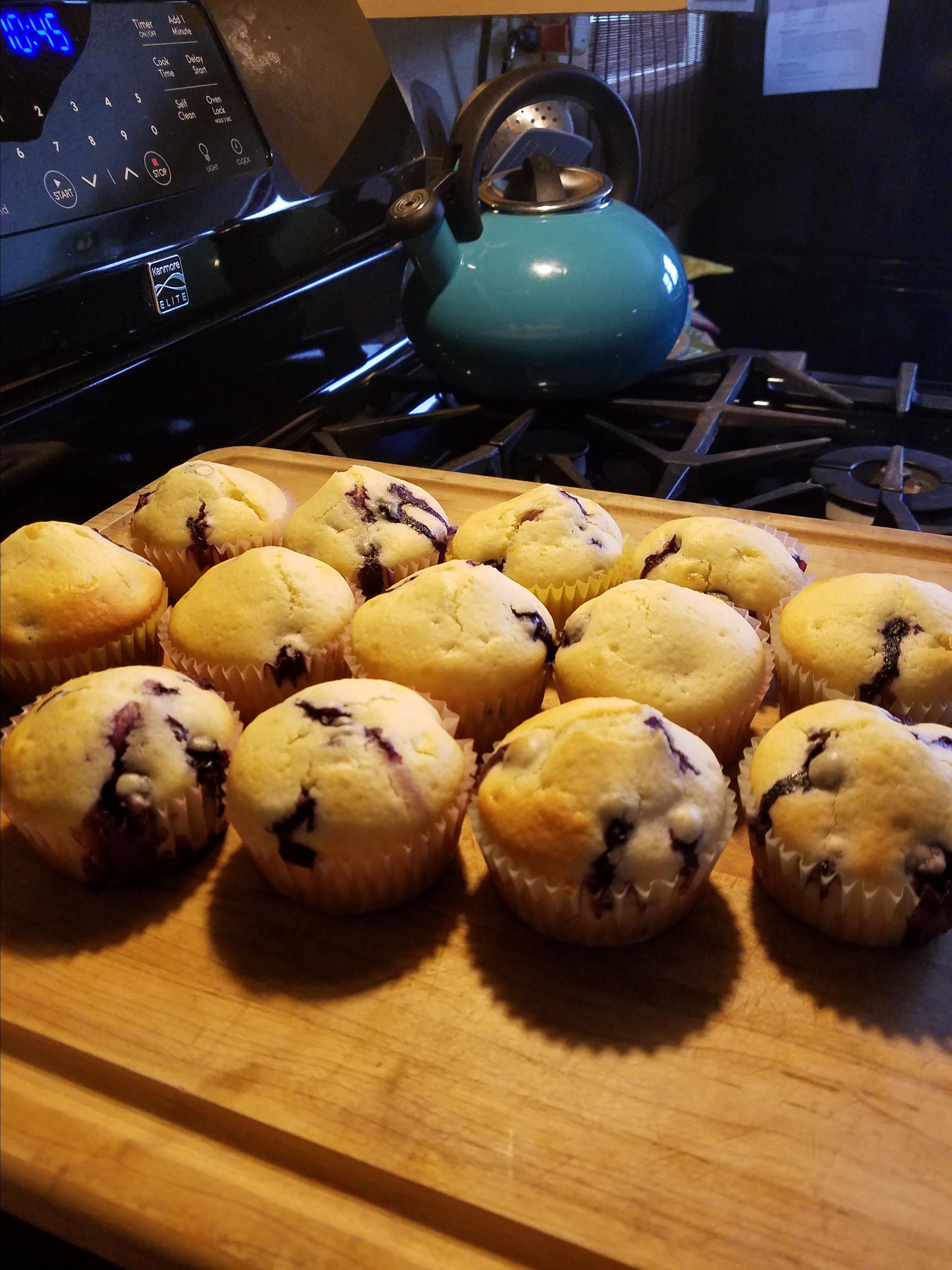Easy Blueberry Muffins I 