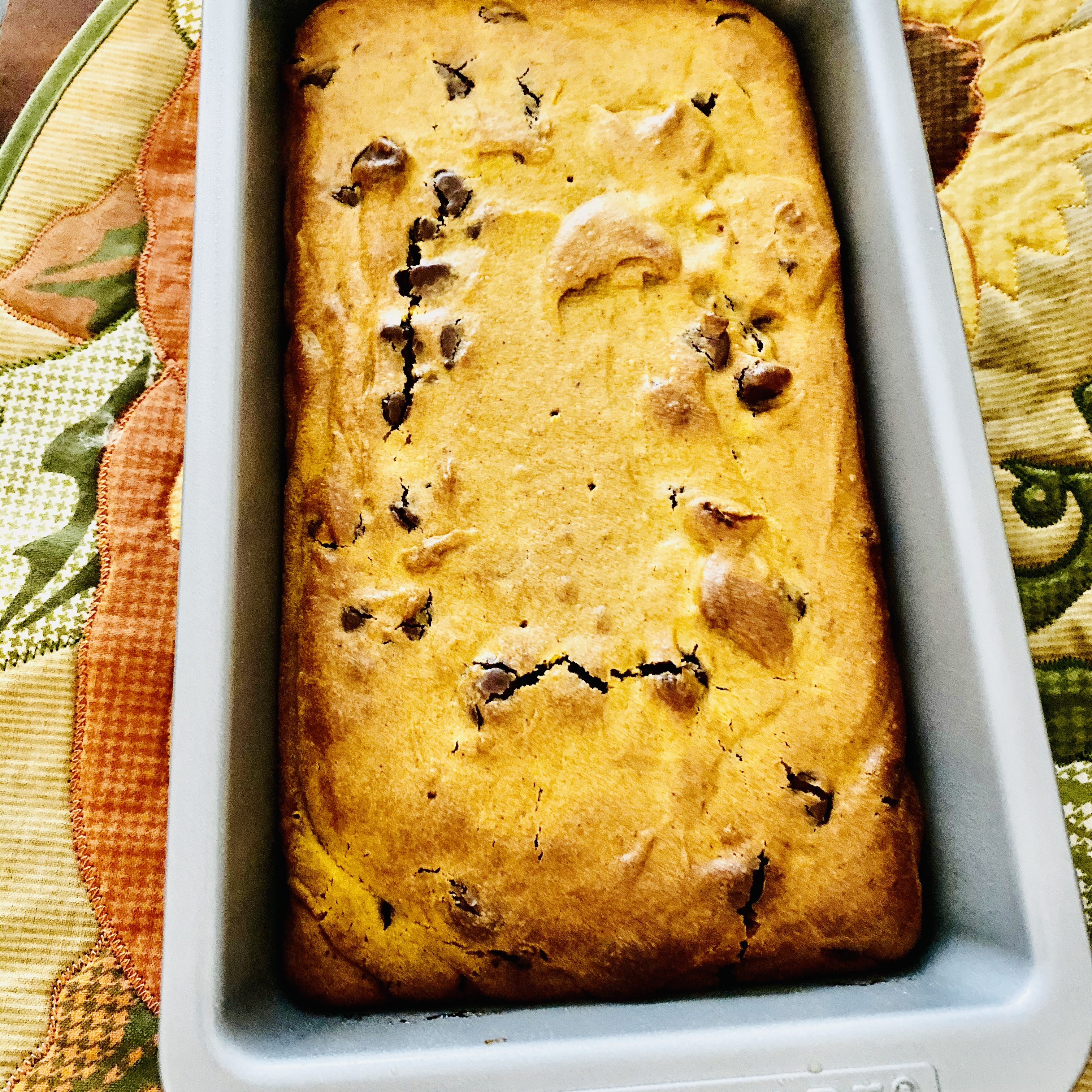 Chocolate Chip and Pumpkin Bread Mrs Walter