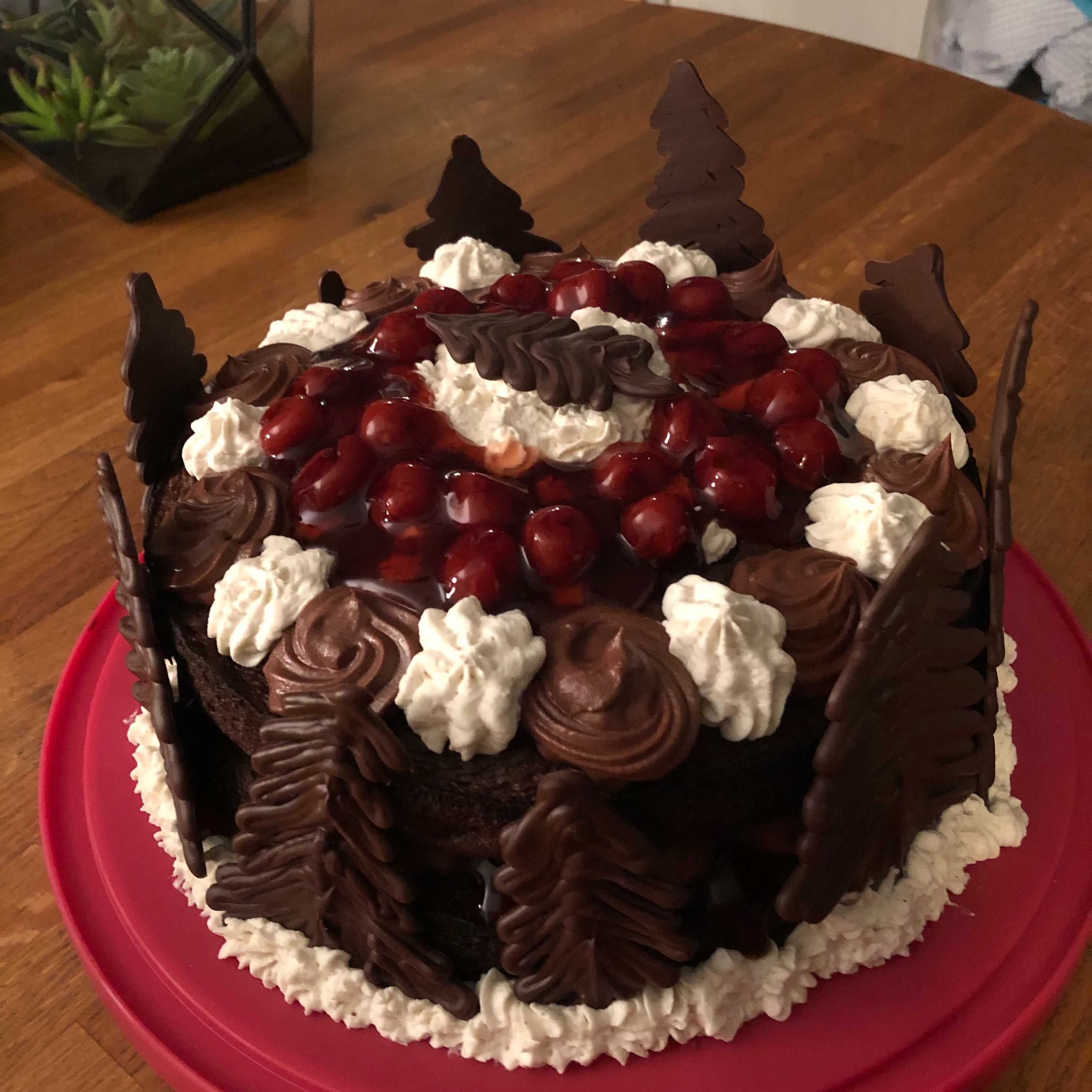 Jenny's Black Forest Cake 