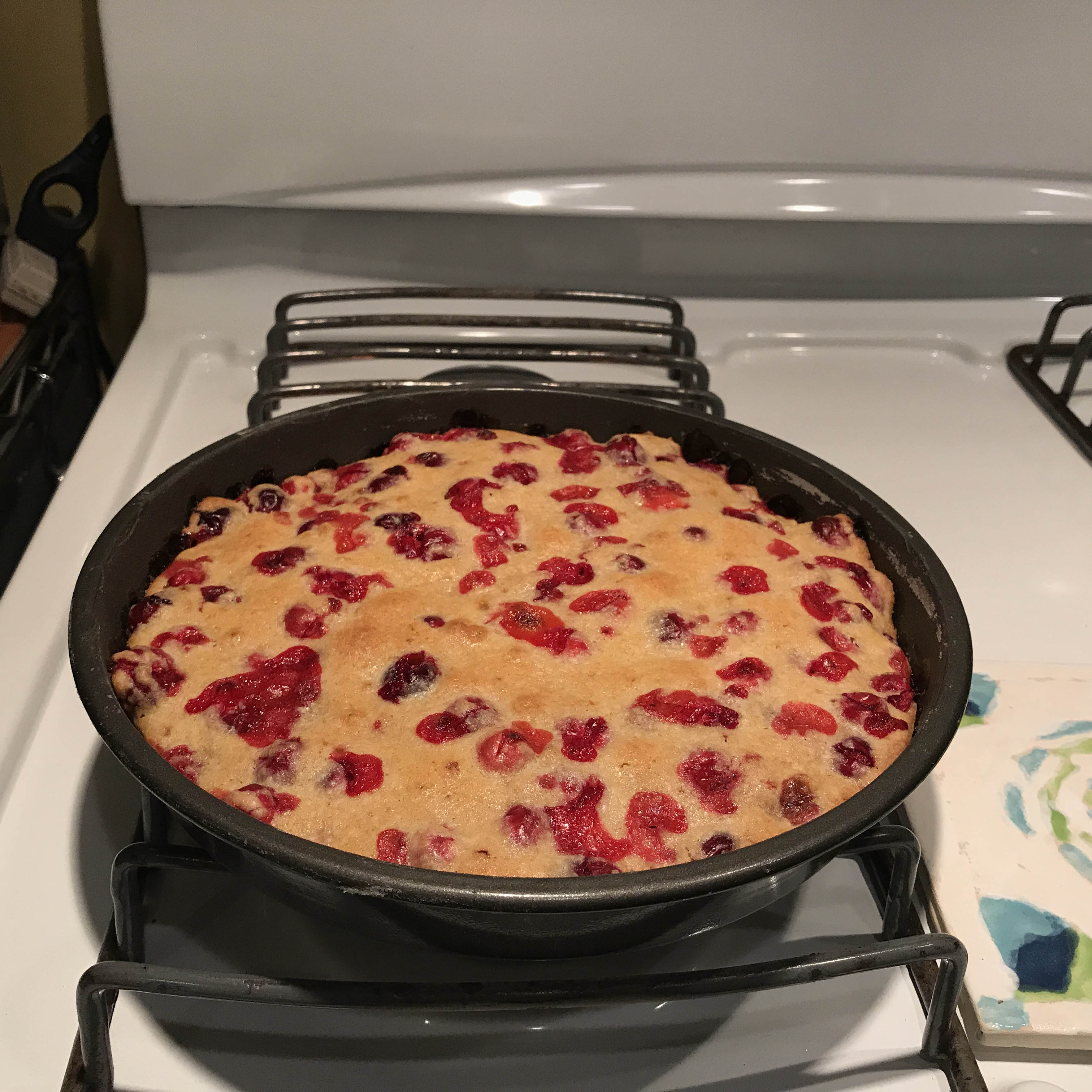 Crustless Cranberry Pie 