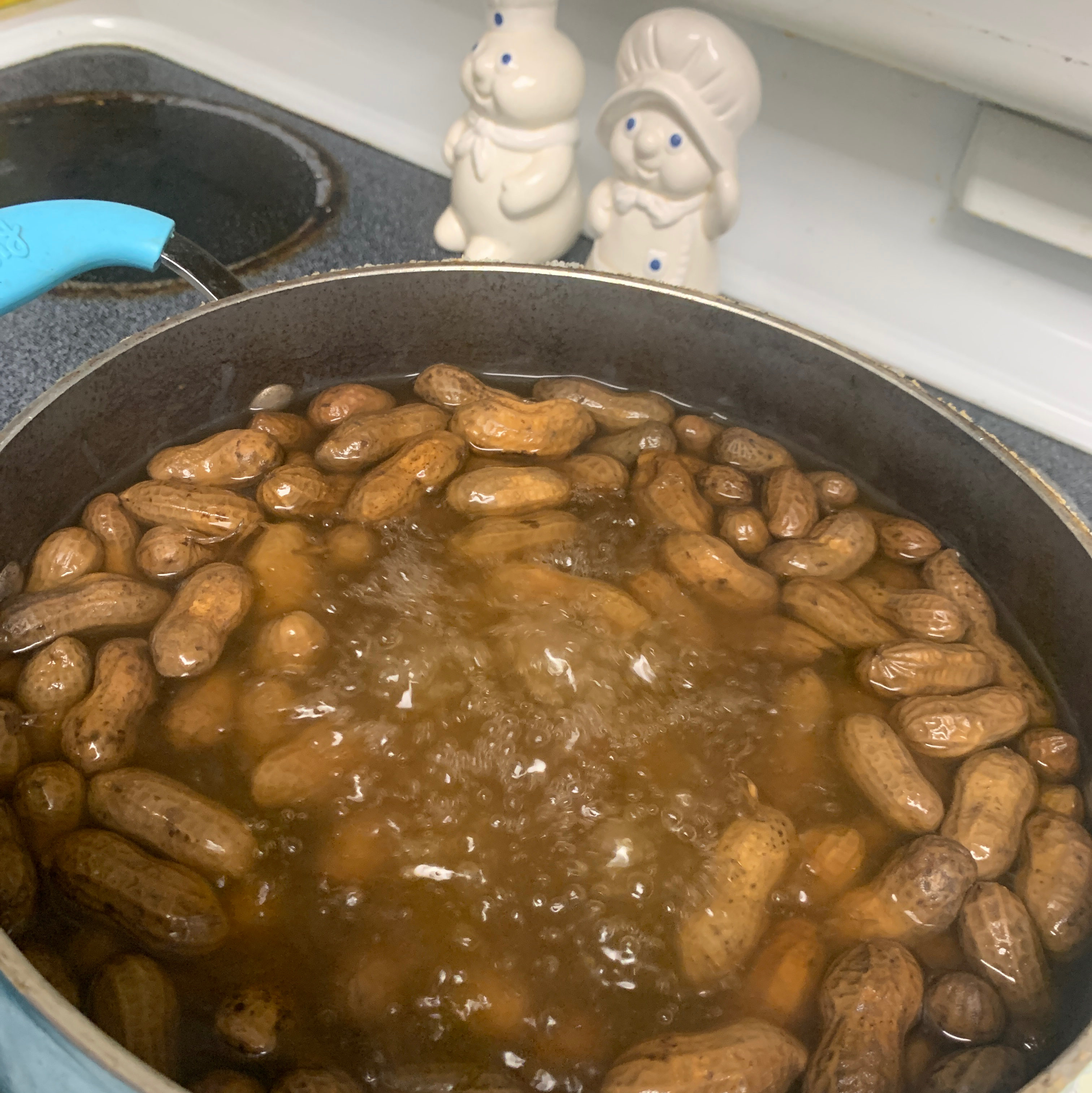 Boiled Peanuts 