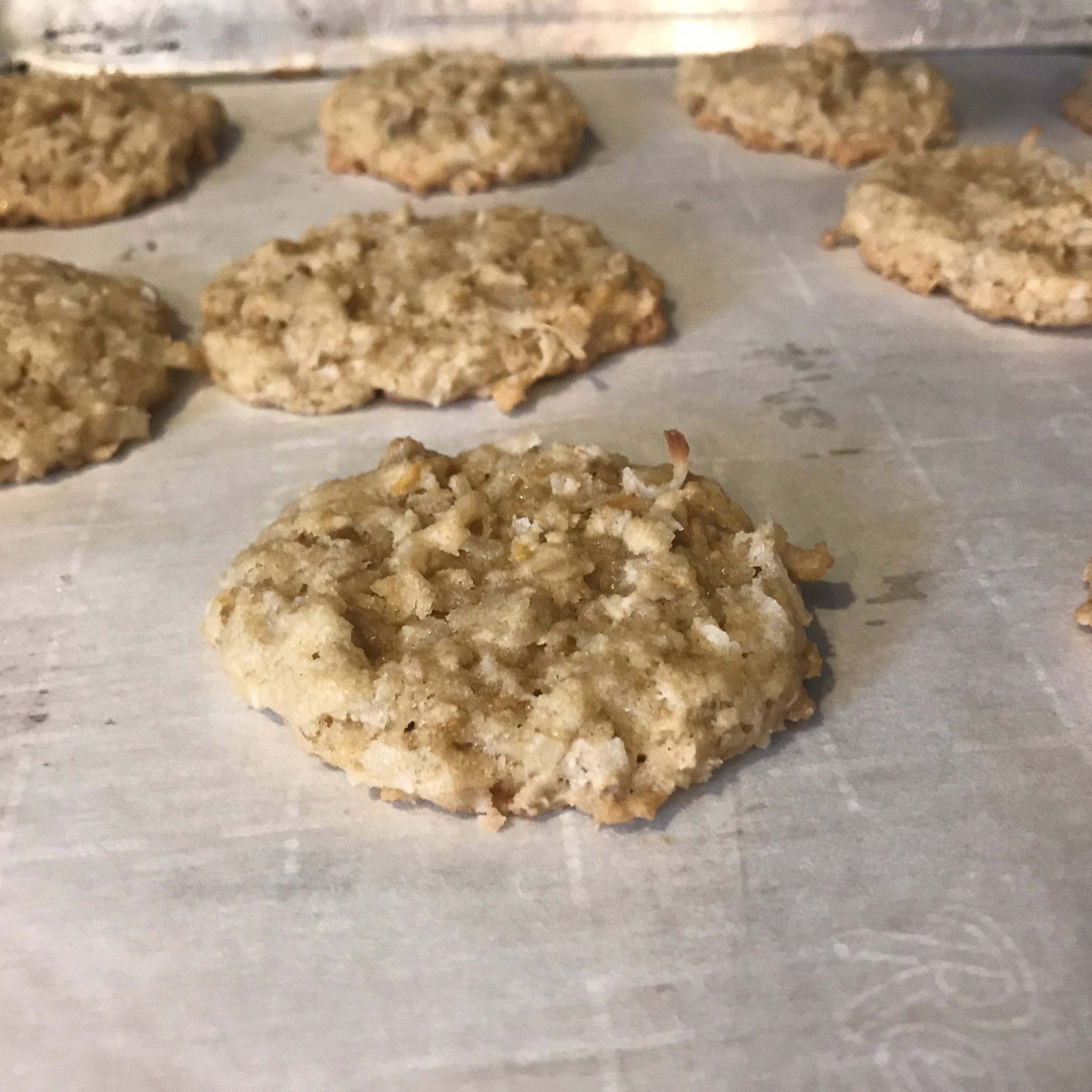 Chewy Crispy Coconut Cookies 