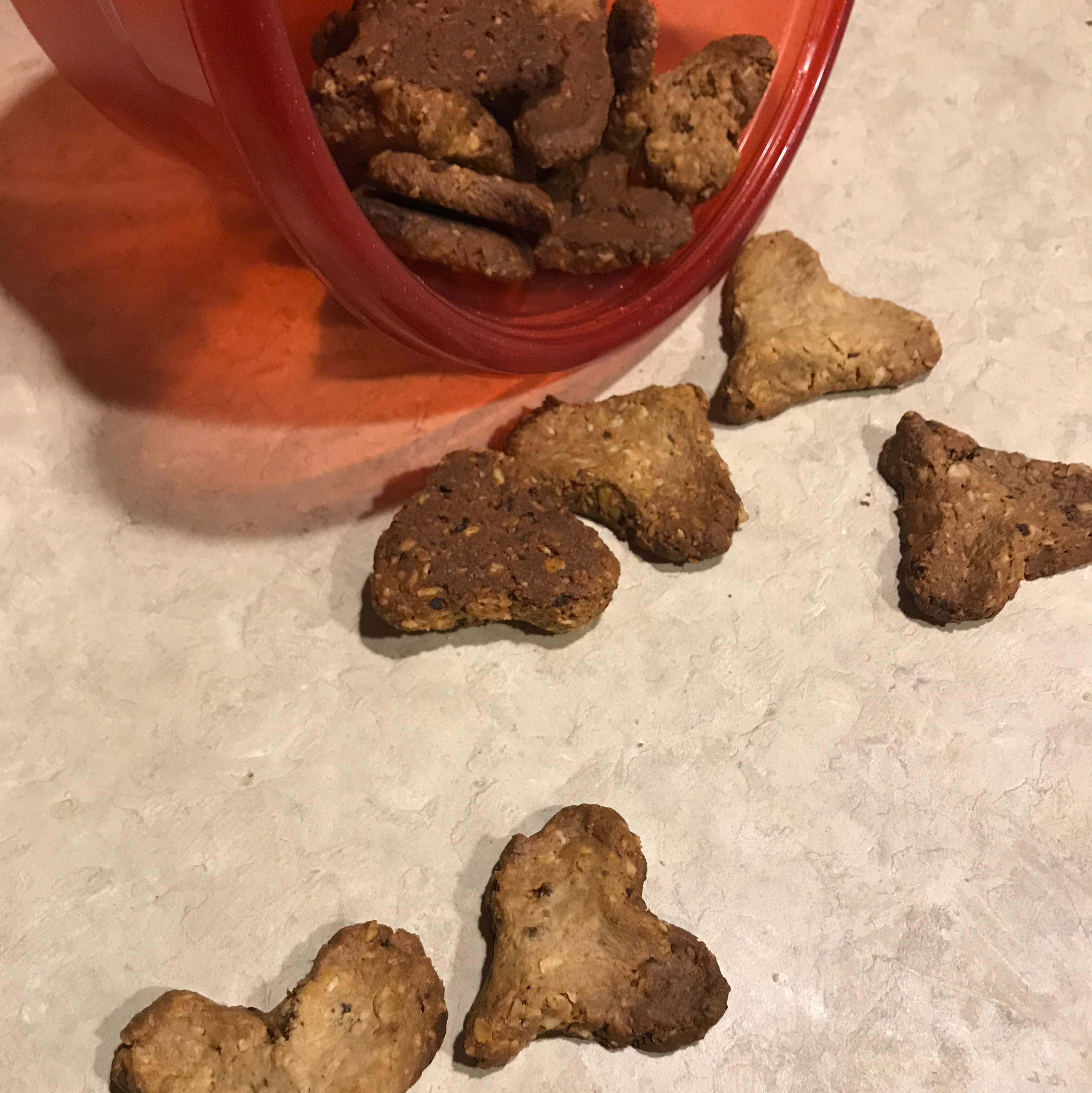 Bacon-Flavored Dog Biscuits 