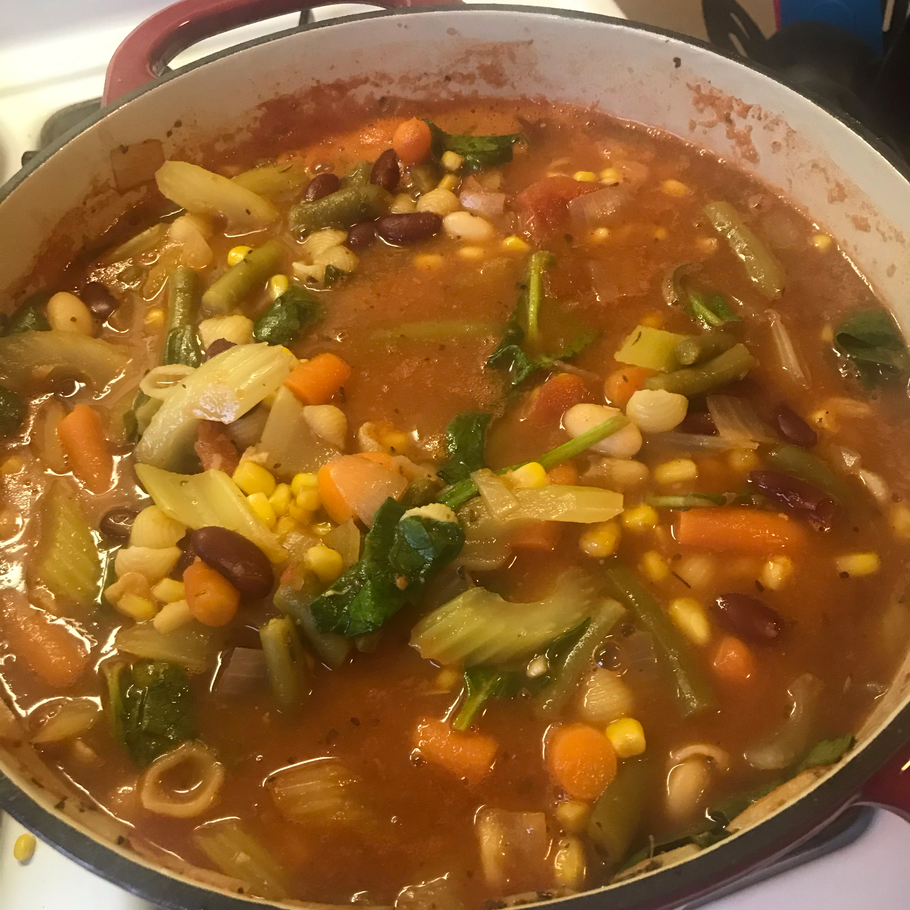 Italian Vegetable Soup 