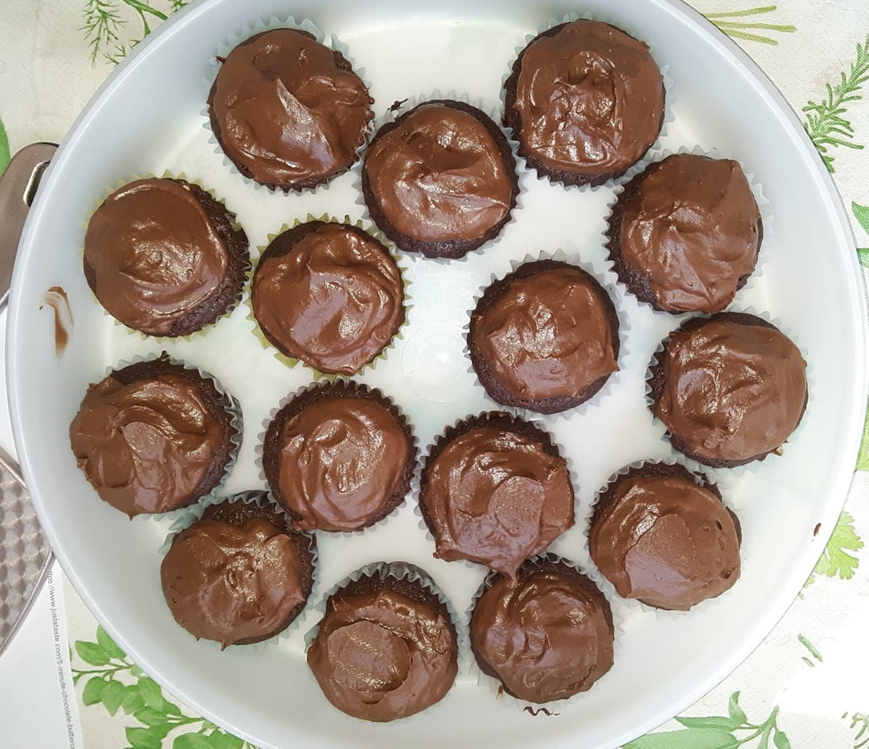 Chocolate Cupcakes 