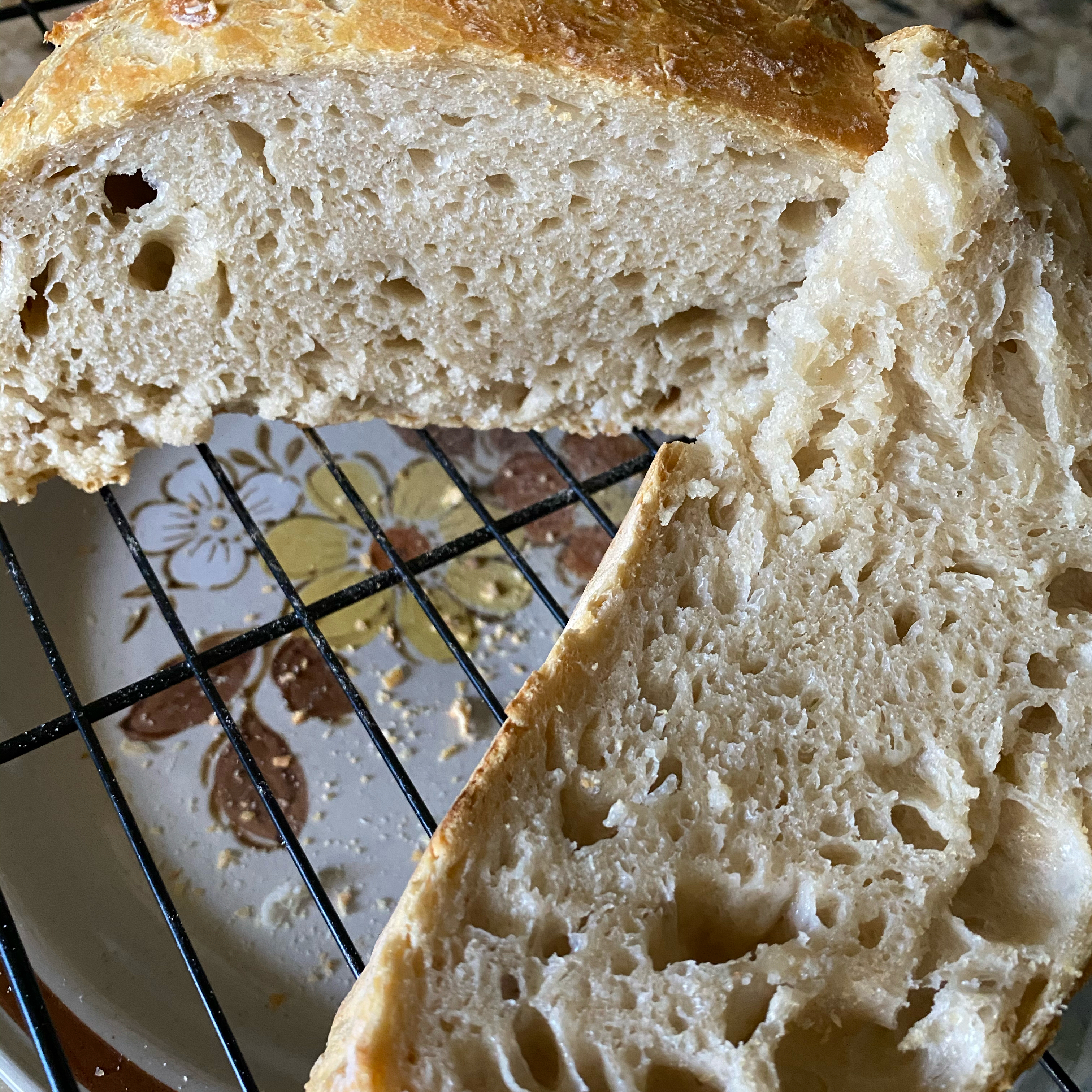 No-Knead Artisan Style Bread 