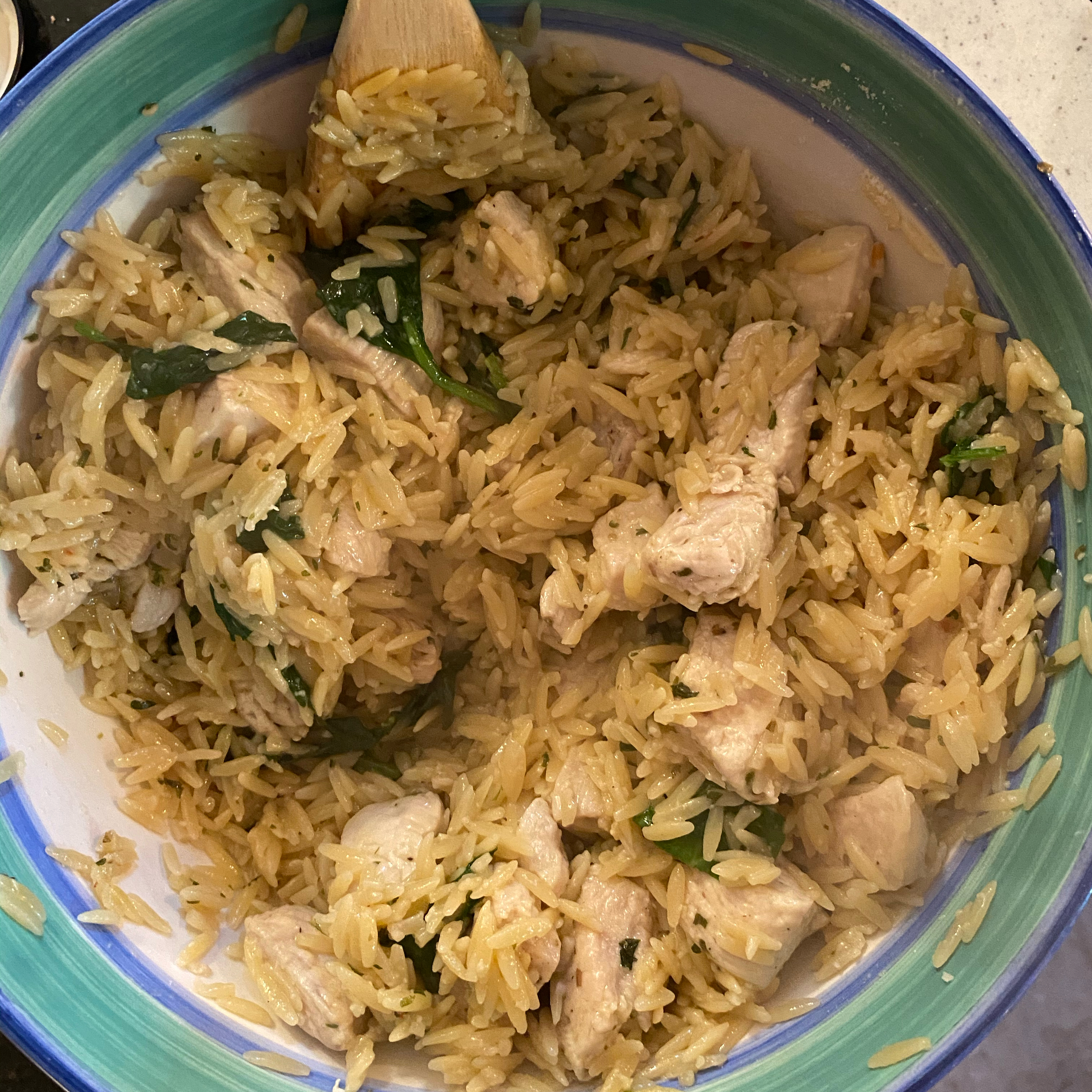 Garlic Chicken with Orzo Noodles 
