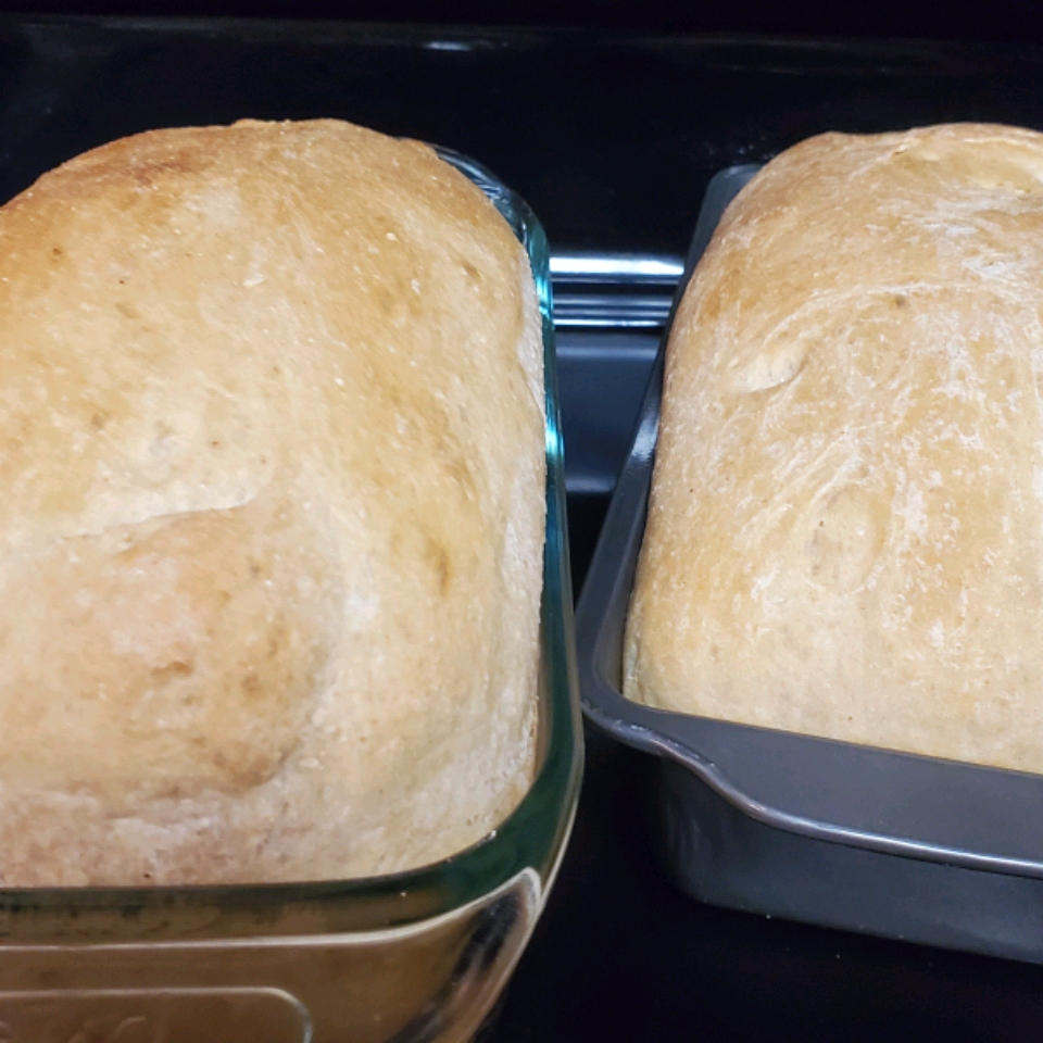 Simple Whole Wheat Bread 