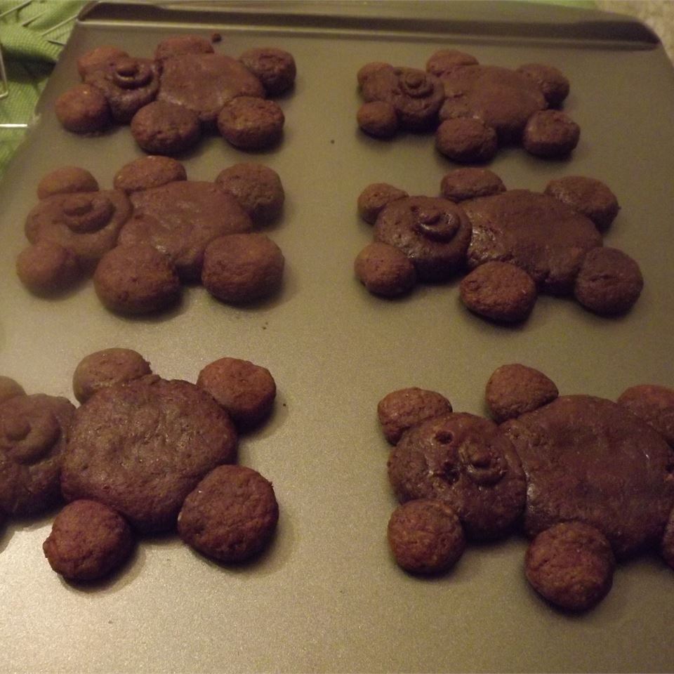 Chocolate Teddy Bear Cookies 