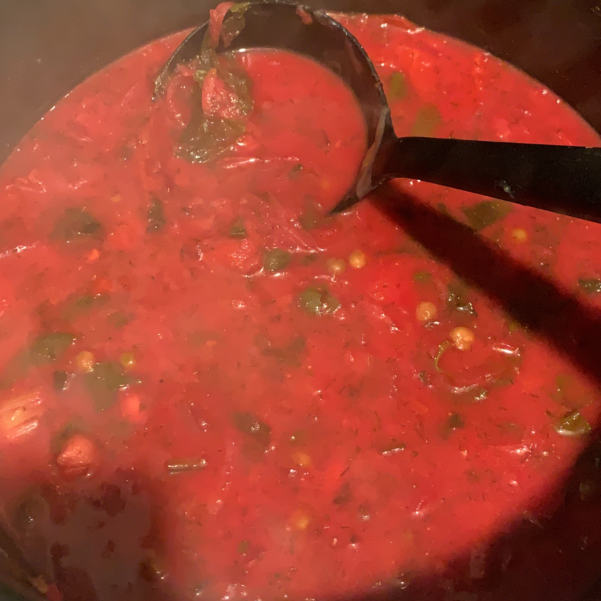 Ukrainian Red Borscht Soup 