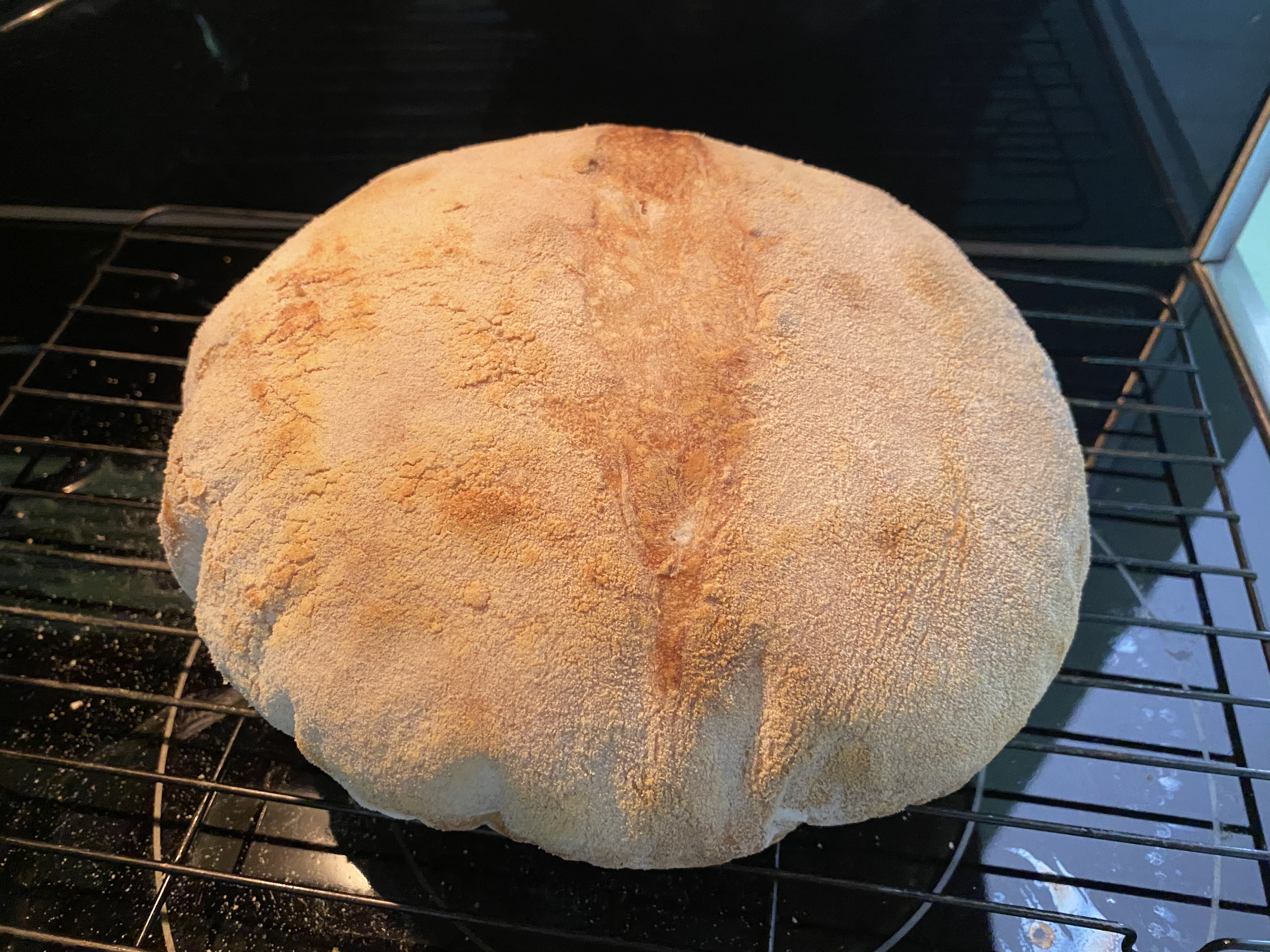Chef John's Sourdough Bread 