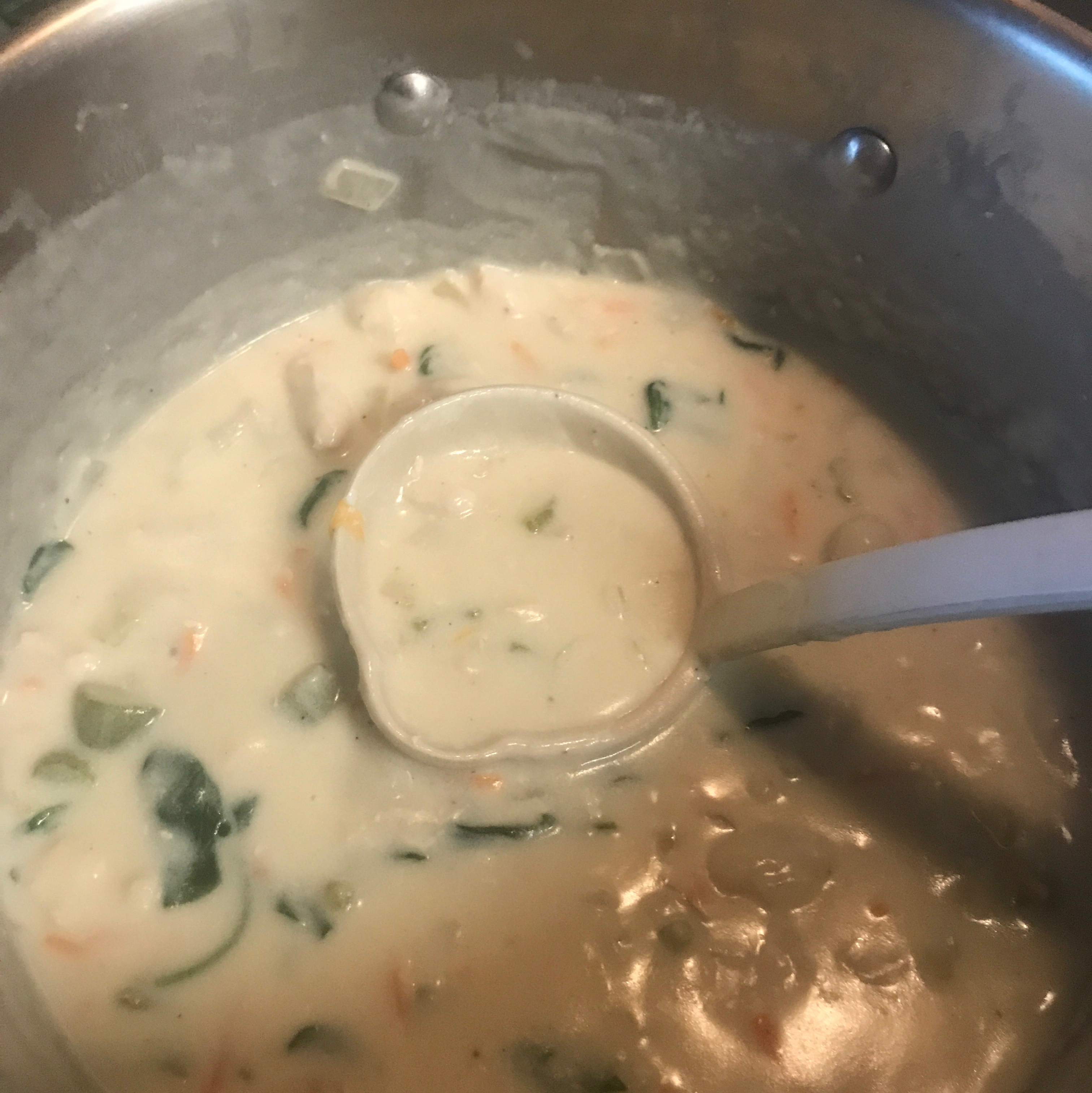 Cream of Chicken and Gnocchi Soup 