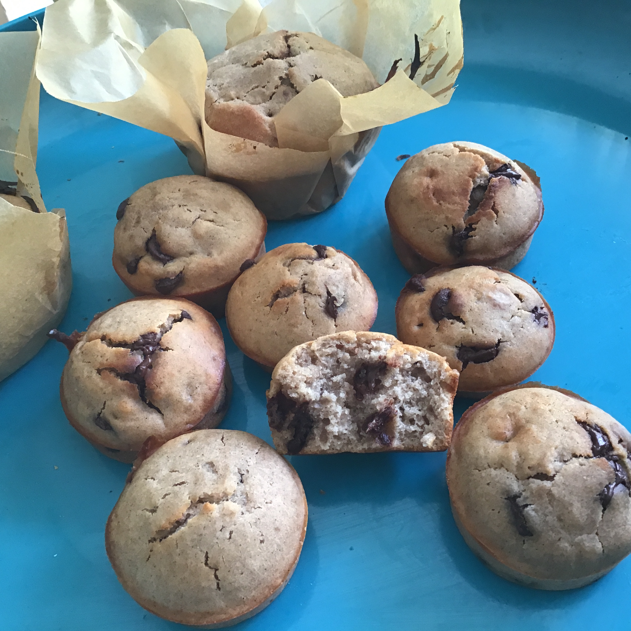 Chocolate Chip Sourdough Muffins 