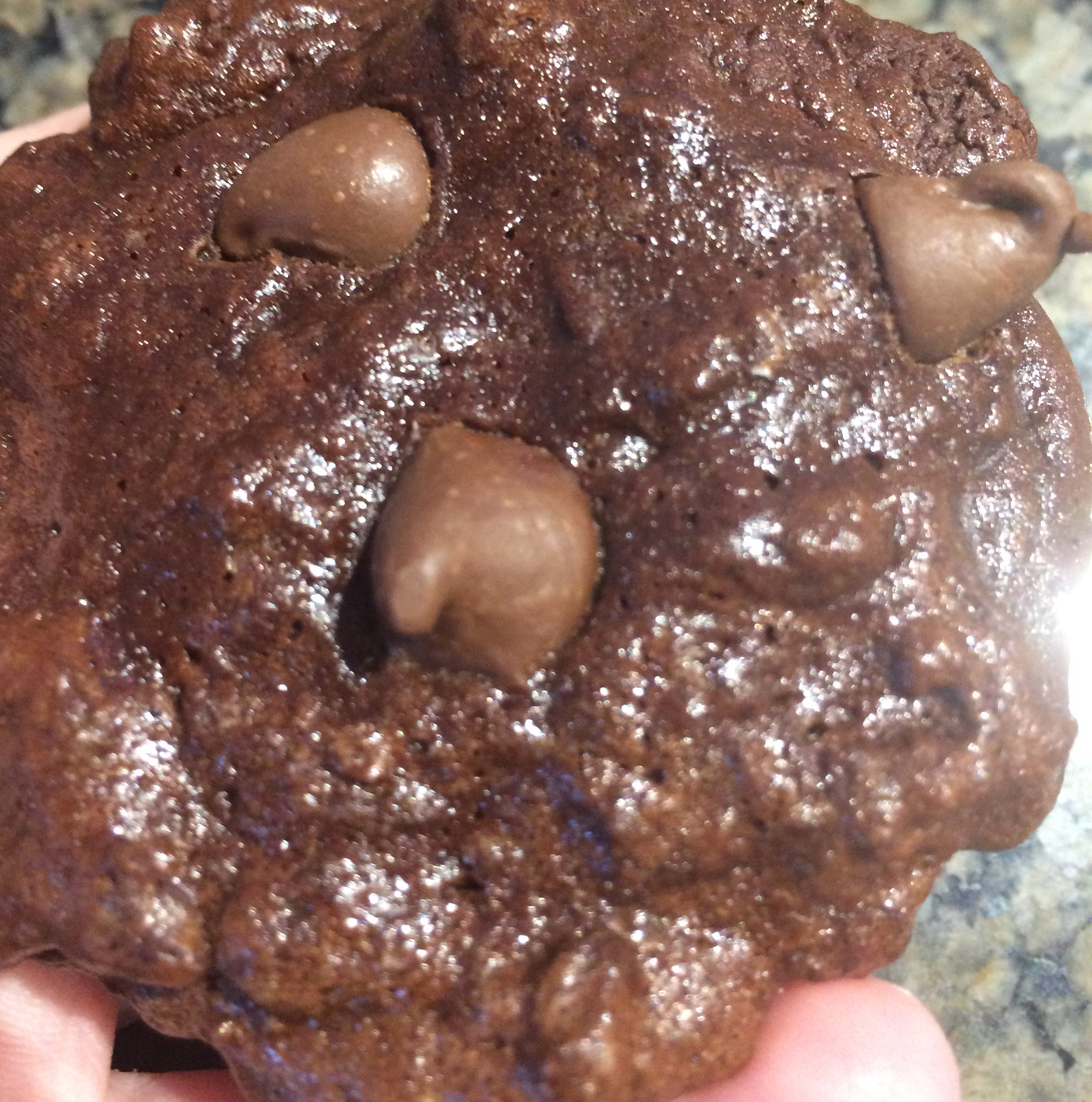 Chocolate Air Cookies with Chocolate Chips 