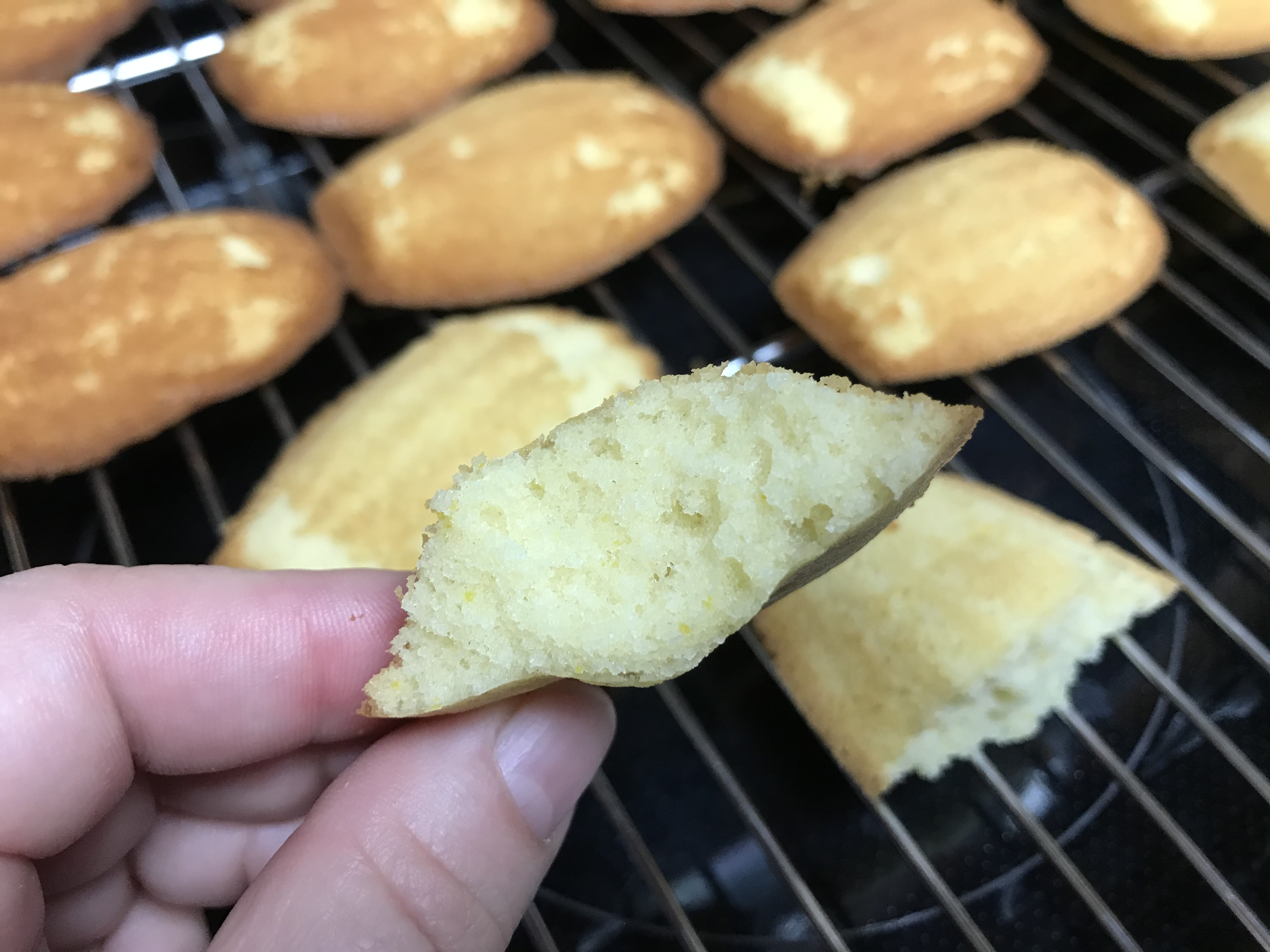 Real Madeleines 
