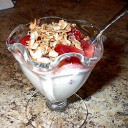 Homemade Plain Yogurt Litegal1