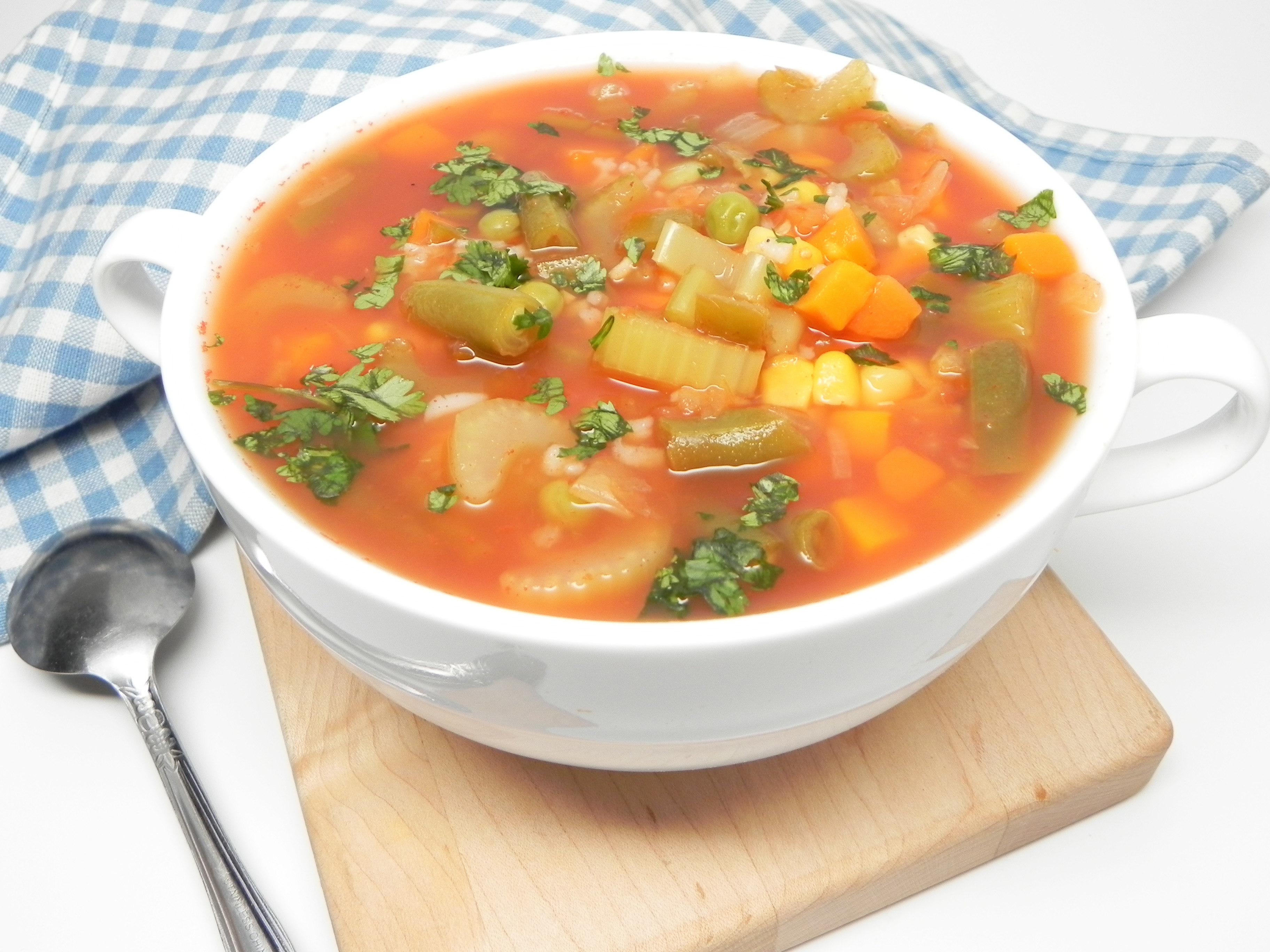 Vegetable Salsa Soup 