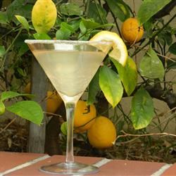 Lemon Drop Cocktail Stirring up Trouble