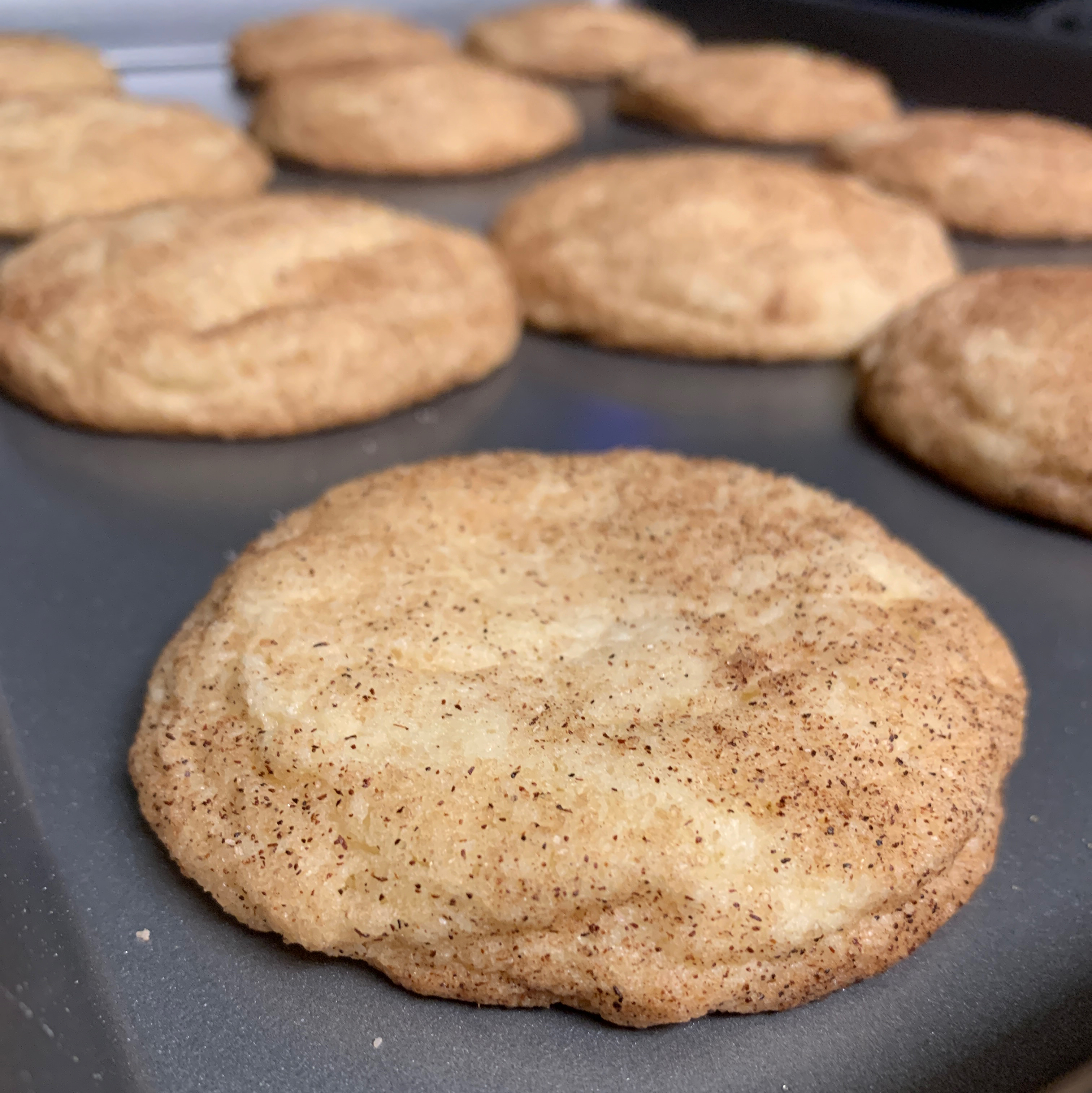 Snickerdoodles I Rhys Luger