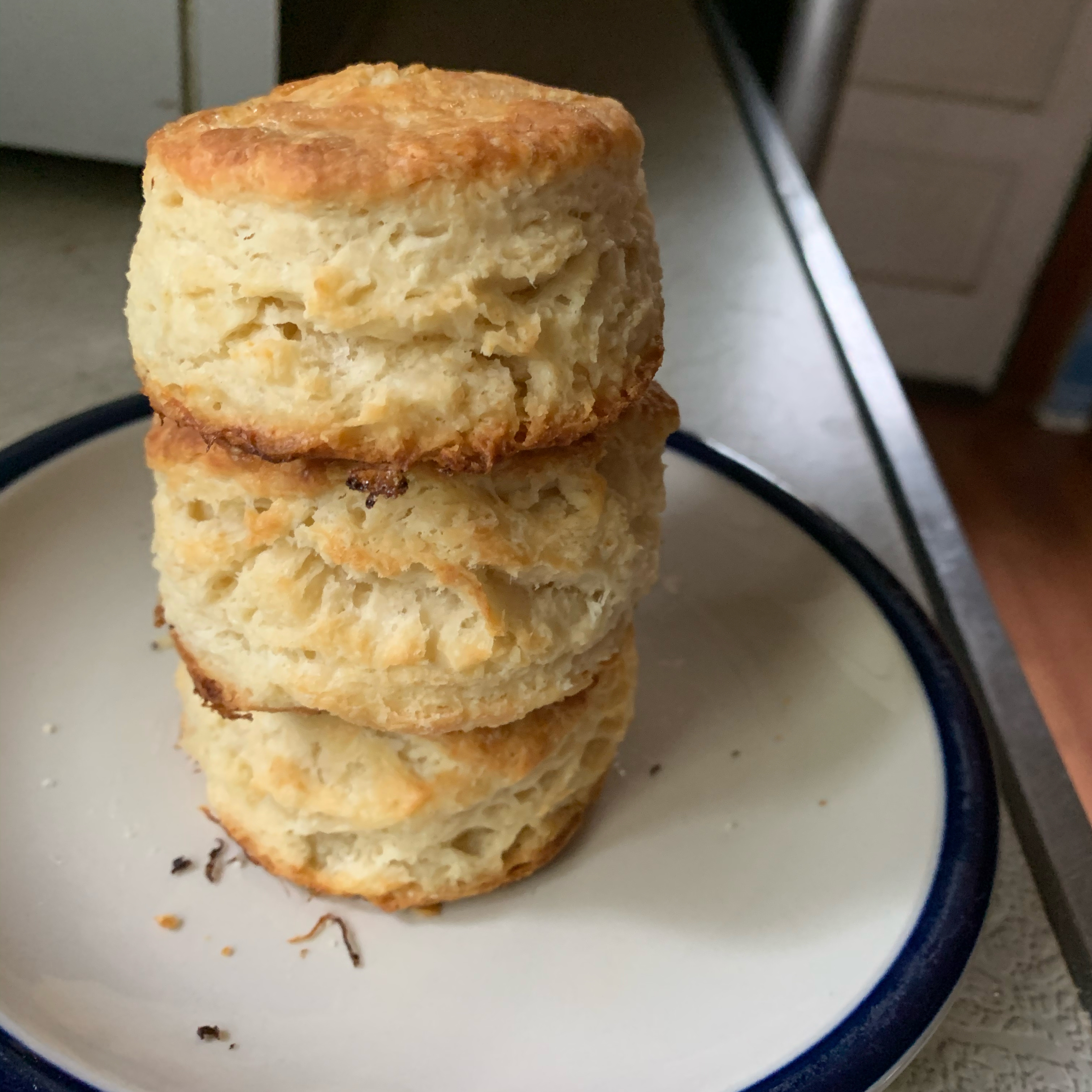 Never Fail Biscuits 