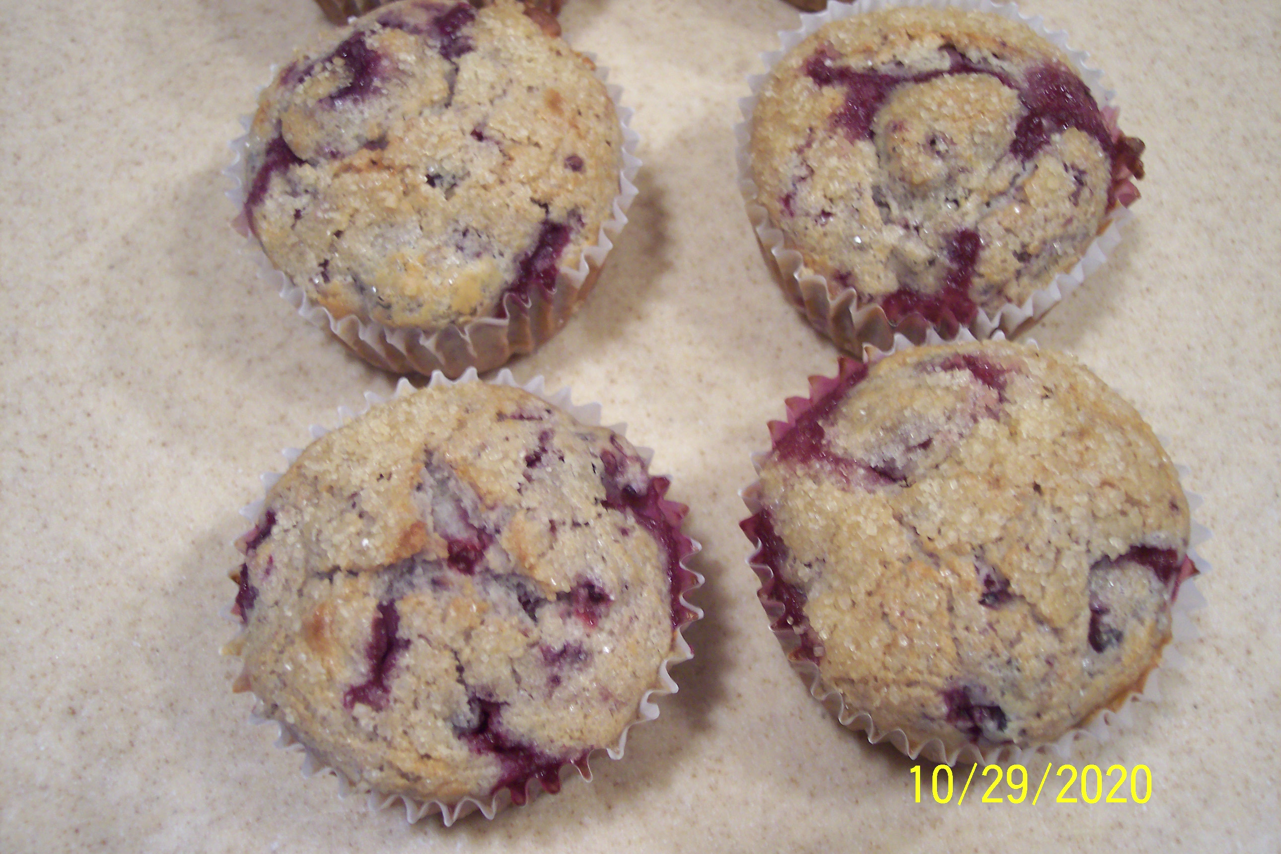 Wild Blackberry Muffins 