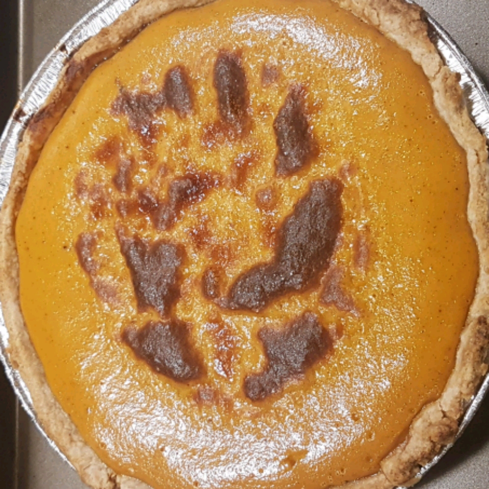 Homemade Fresh Pumpkin Pie 