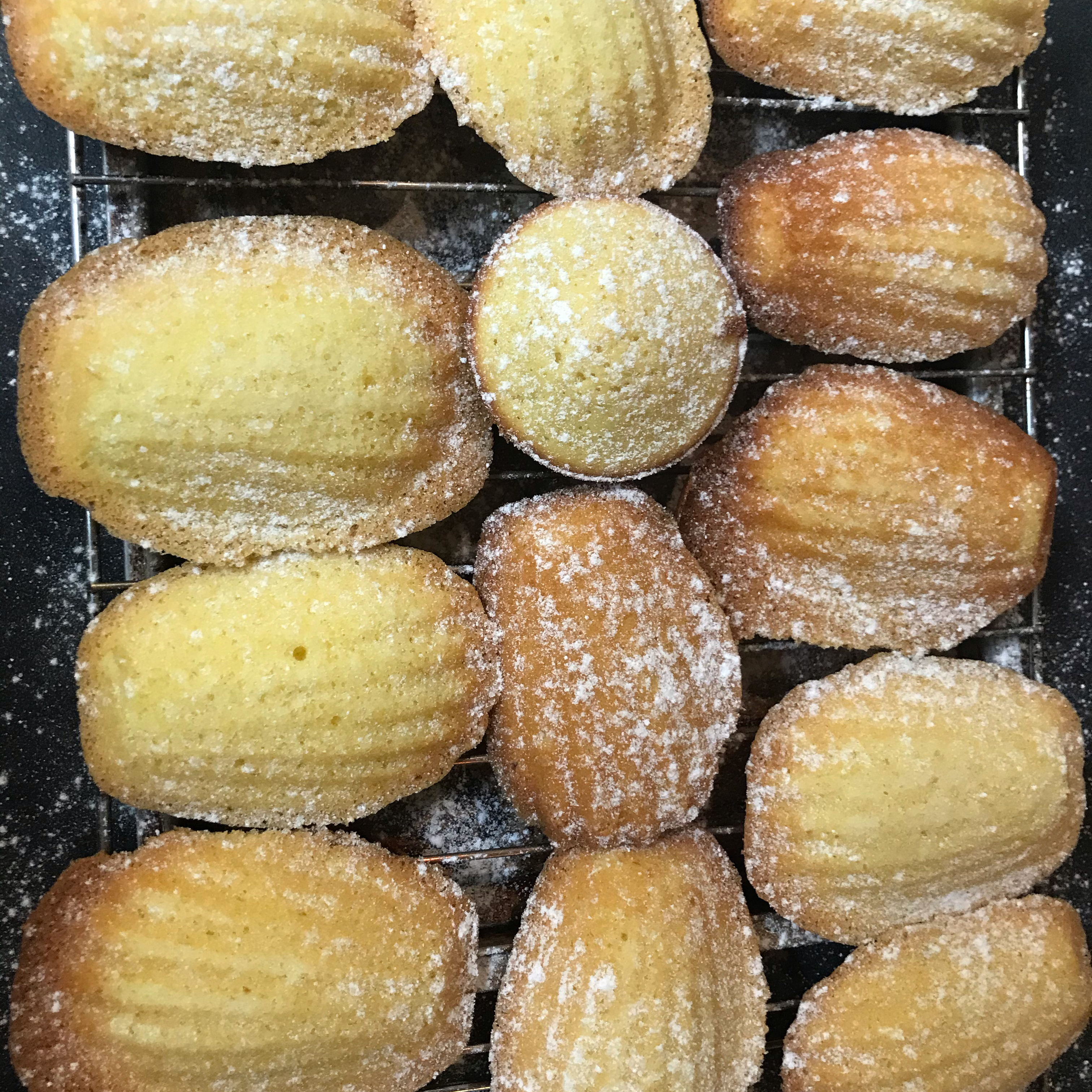 French Butter Cakes (Madeleines) 