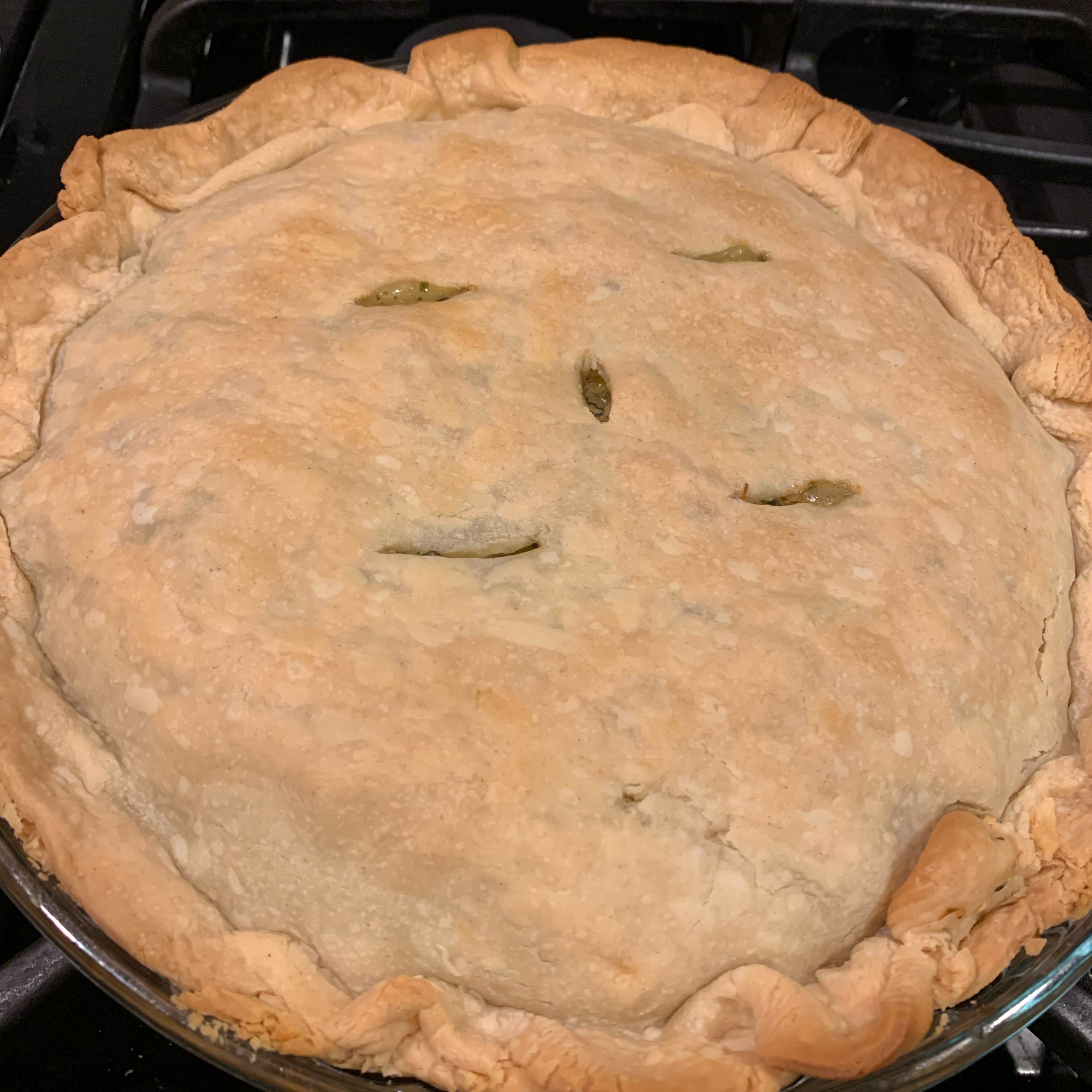 Turkey Pot Pie I 