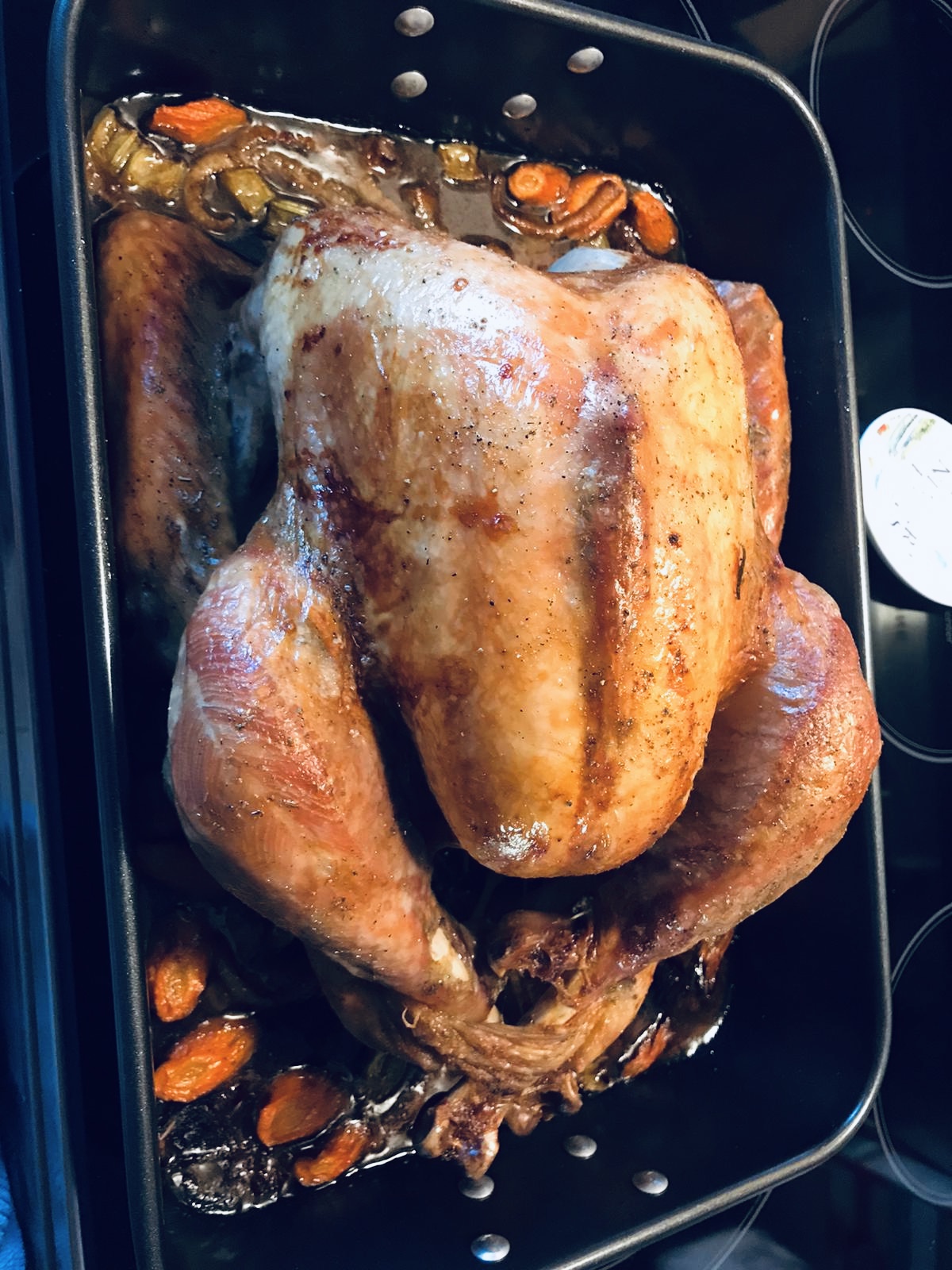How to Cook a Turkey Christine FR C