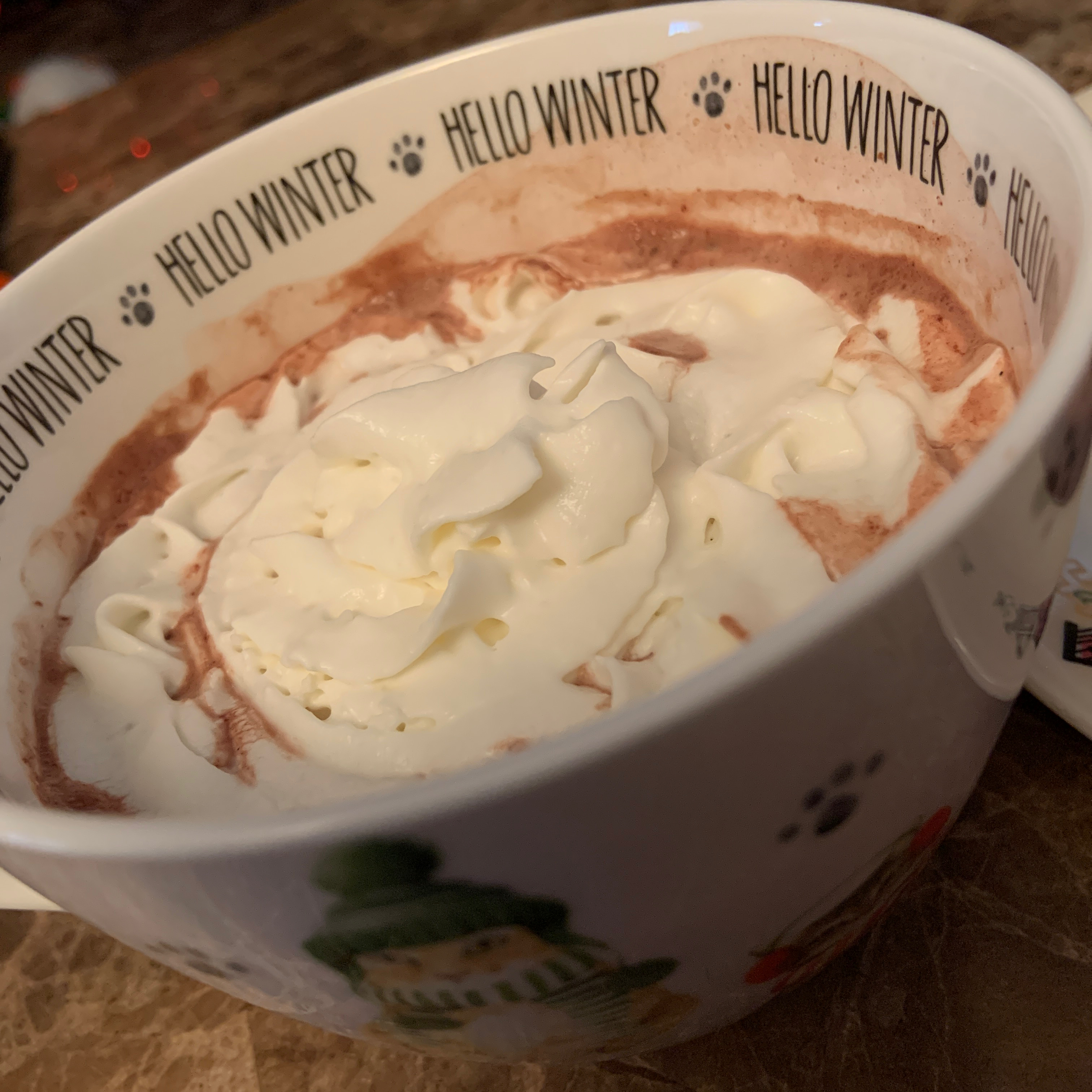 Homestyle Hot Cocoa Jan D