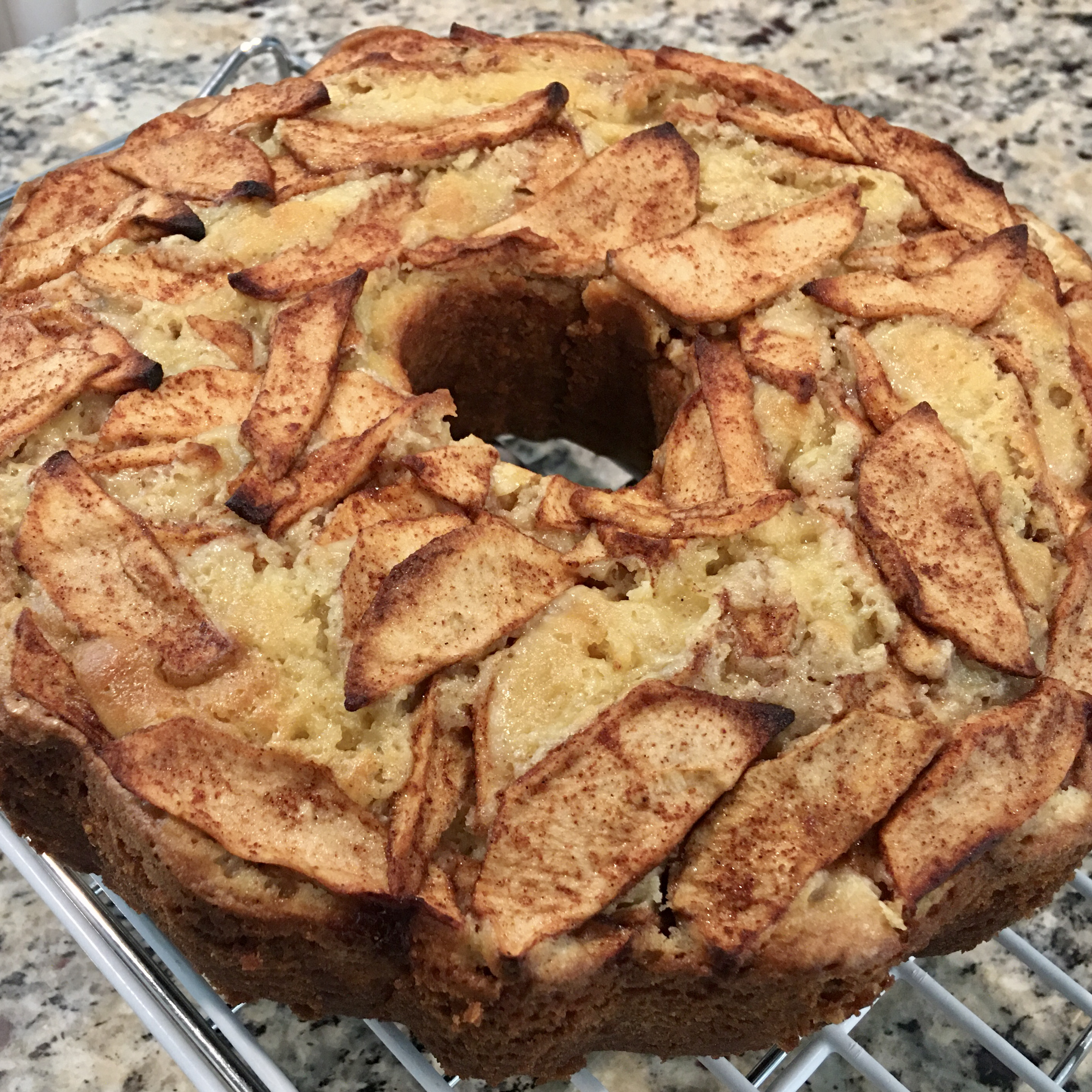 Mom's Favorite Jewish Apple Cake Dawn007